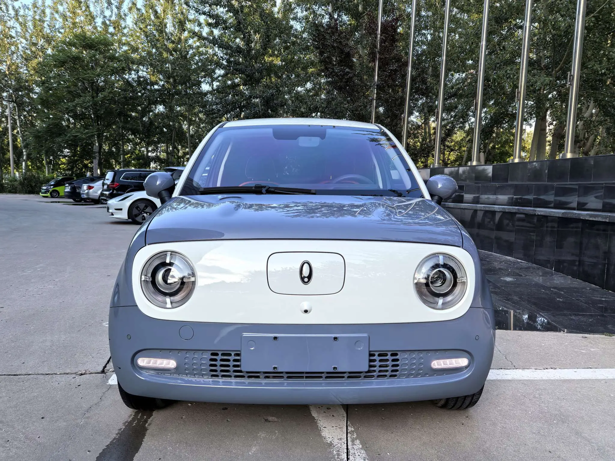 ORA Euler black cat  из Китая