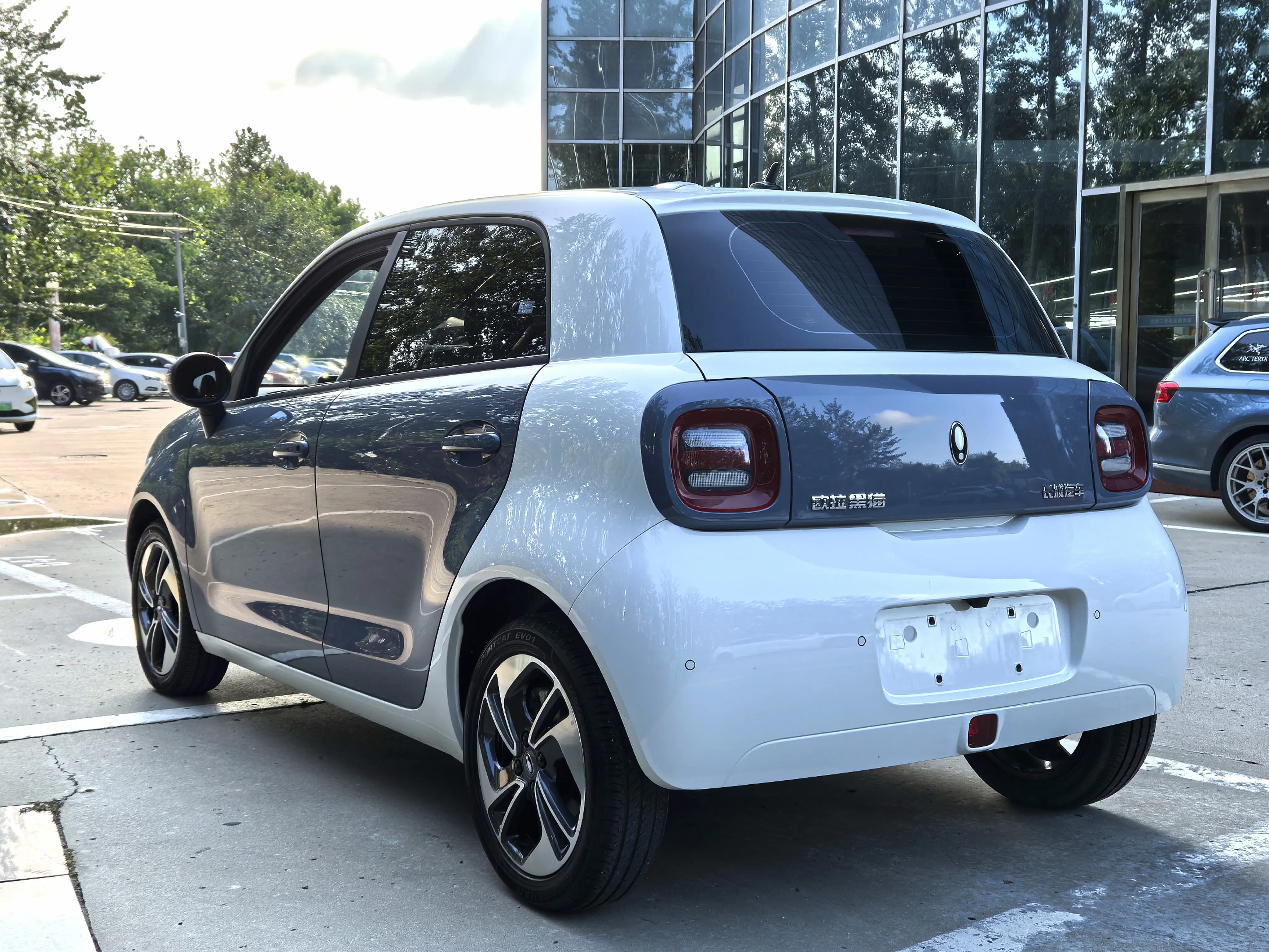 ORA Euler black cat  из Китая