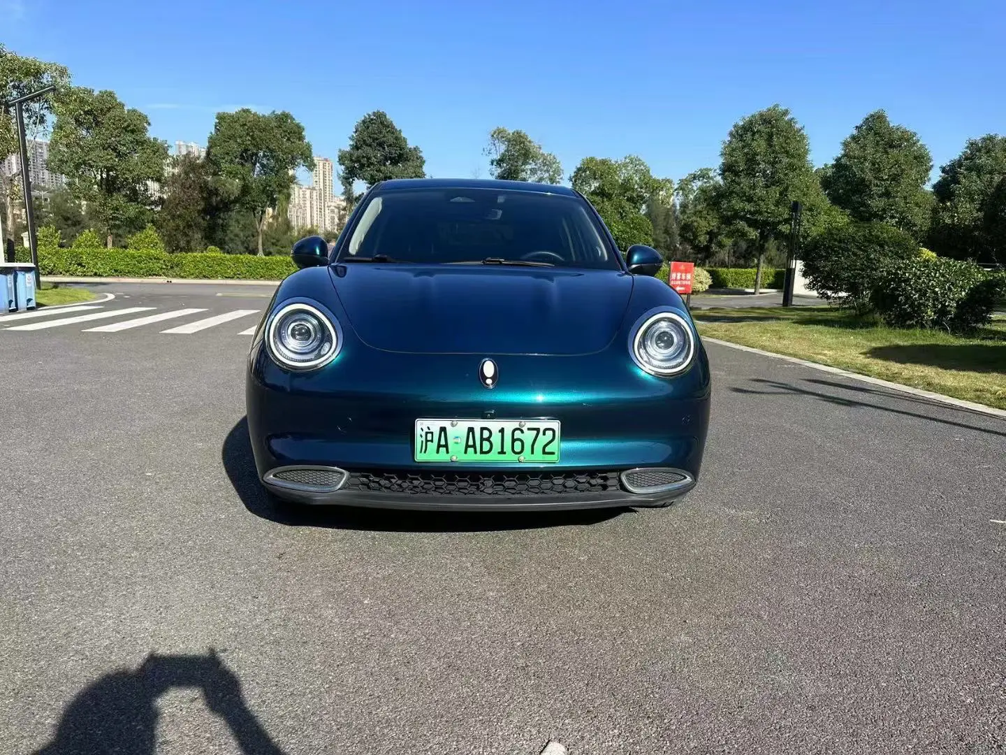 ORA Euler good cat  из Китая