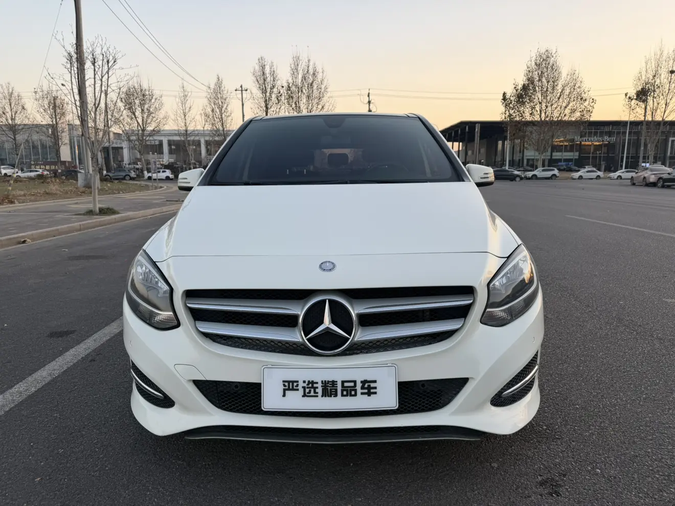 Mercedes-Benz Mercedes Benz B Class  из Китая