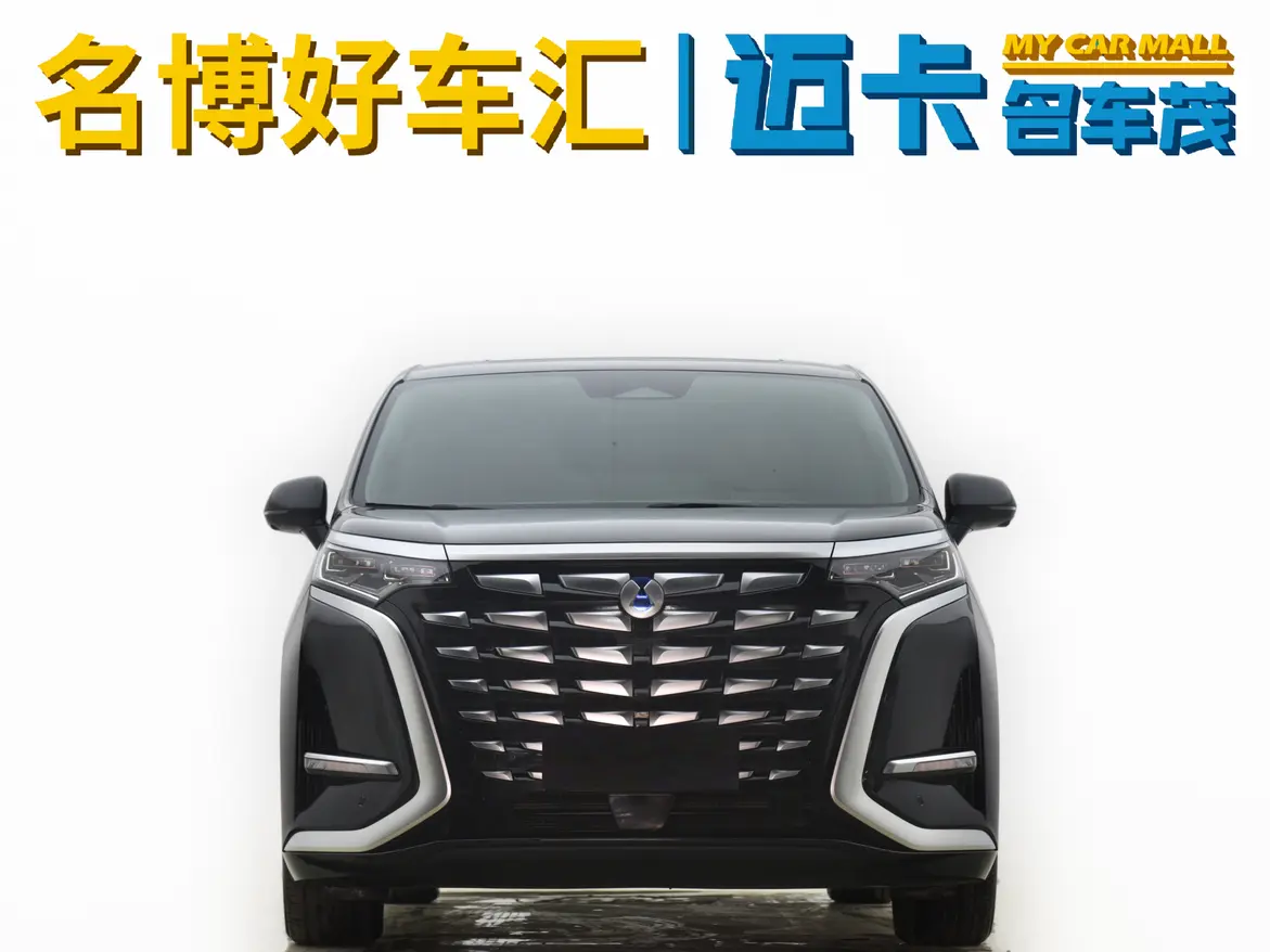 Denza D9 DM  из Китая