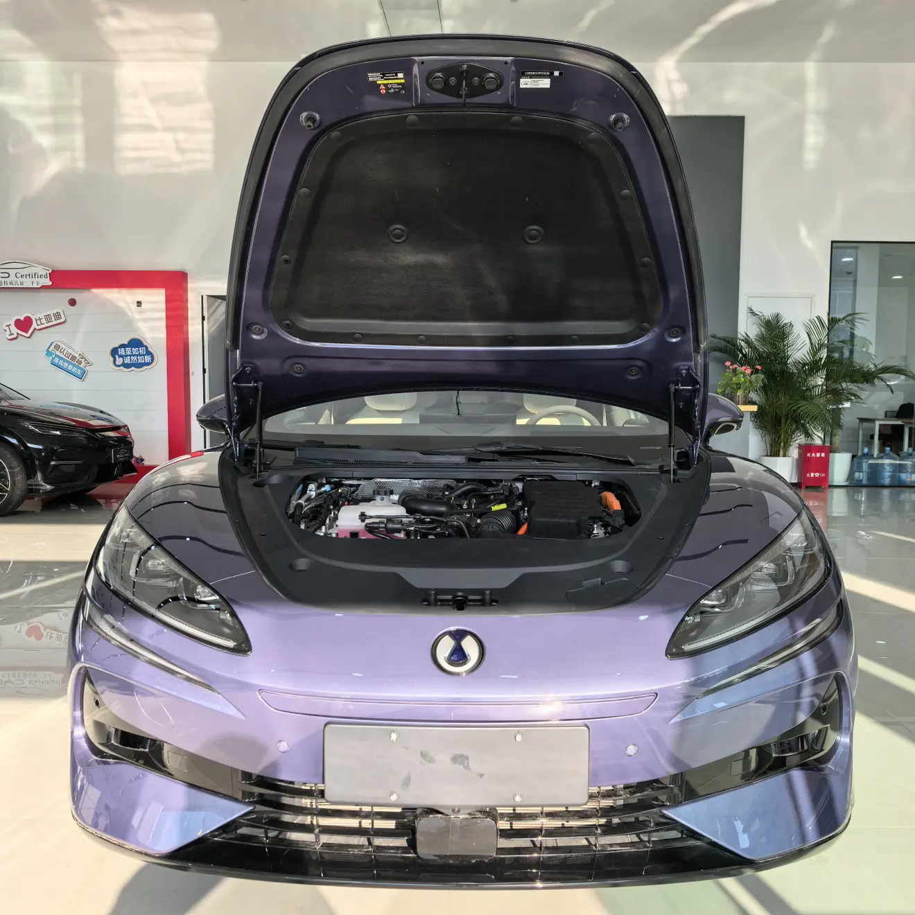 Denza Tengzhong Z9 DM  из Китая