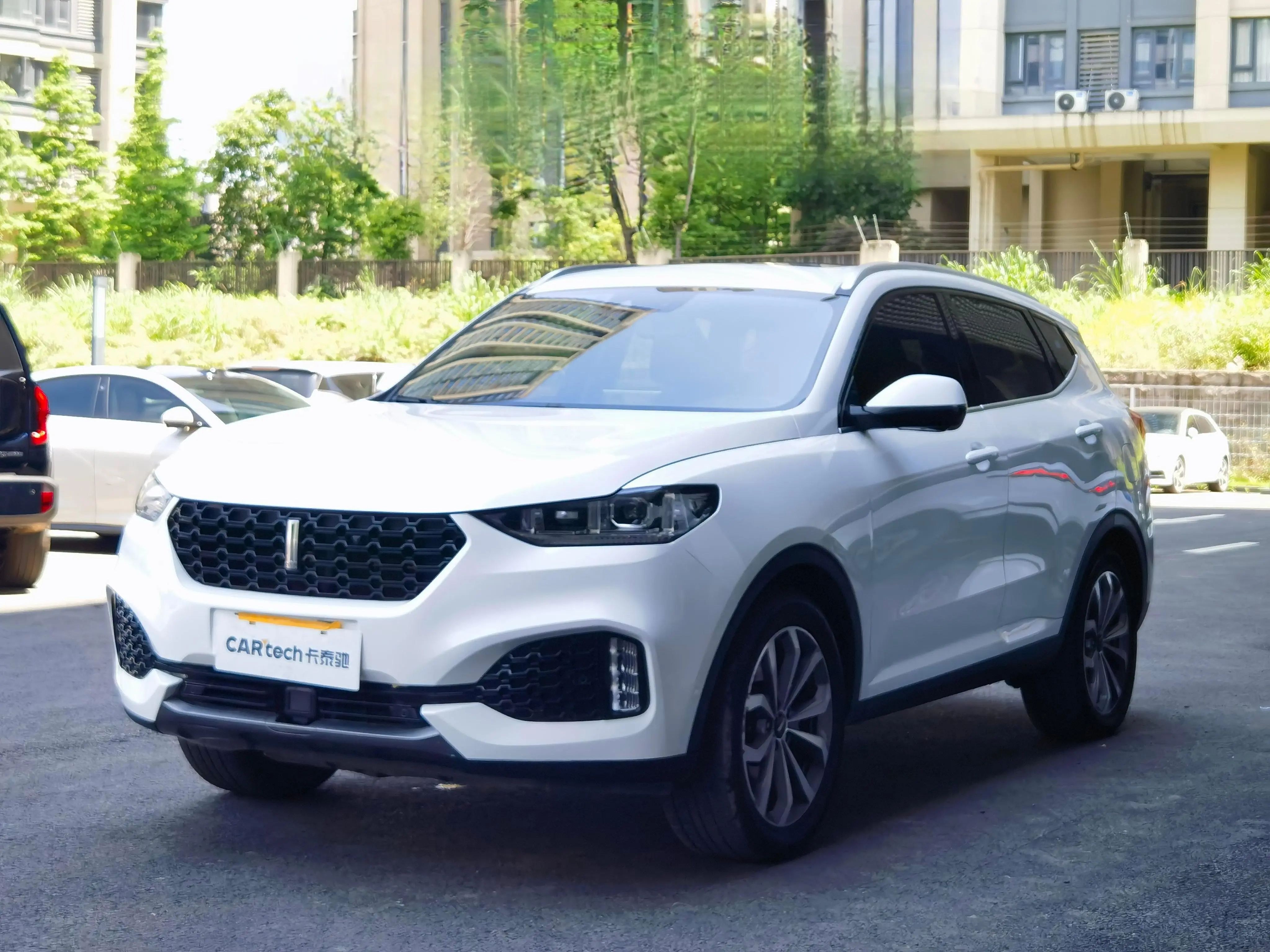 Wey Wei brand VV6  из Китая