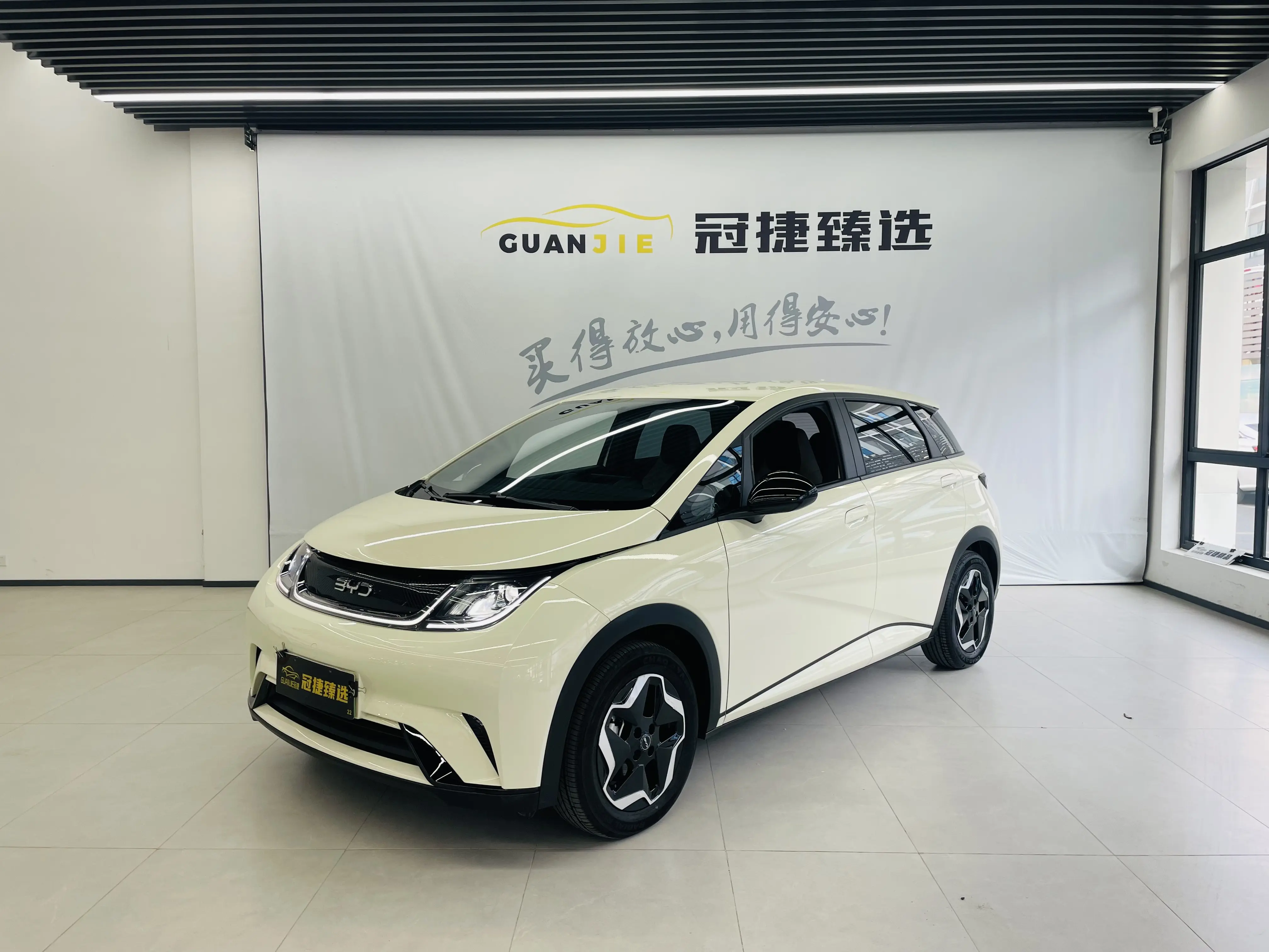 BYD Dolphin  из Китая