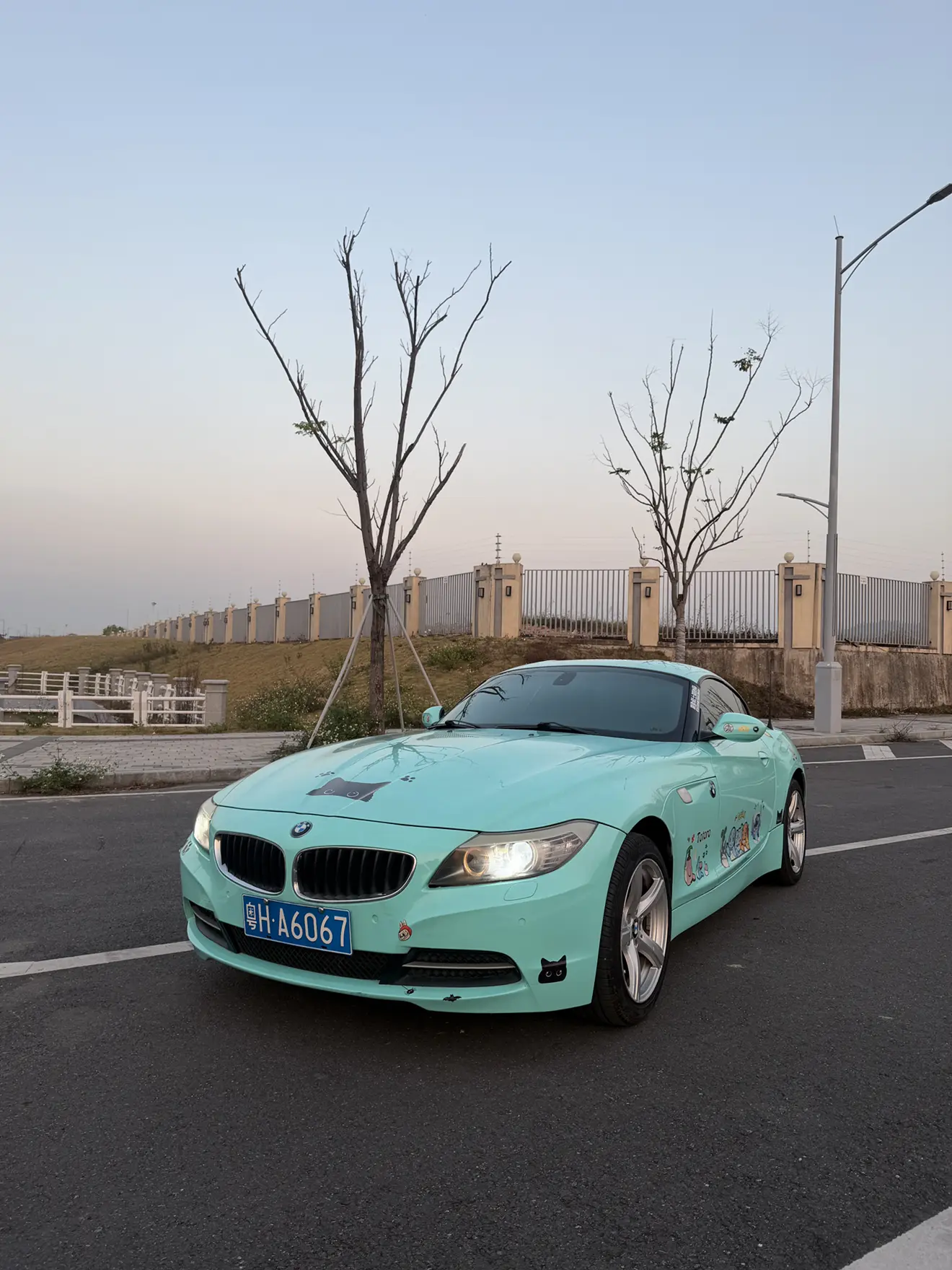 BMW Z4  из Китая