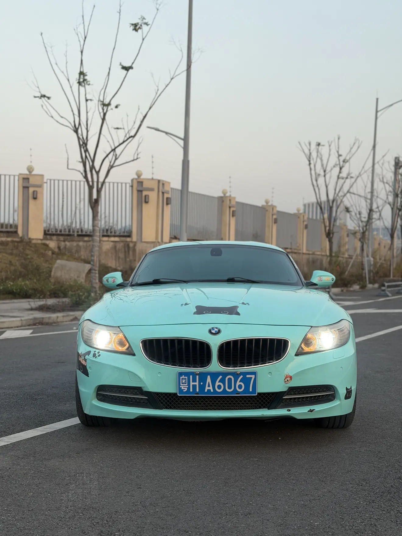 BMW Z4  из Китая