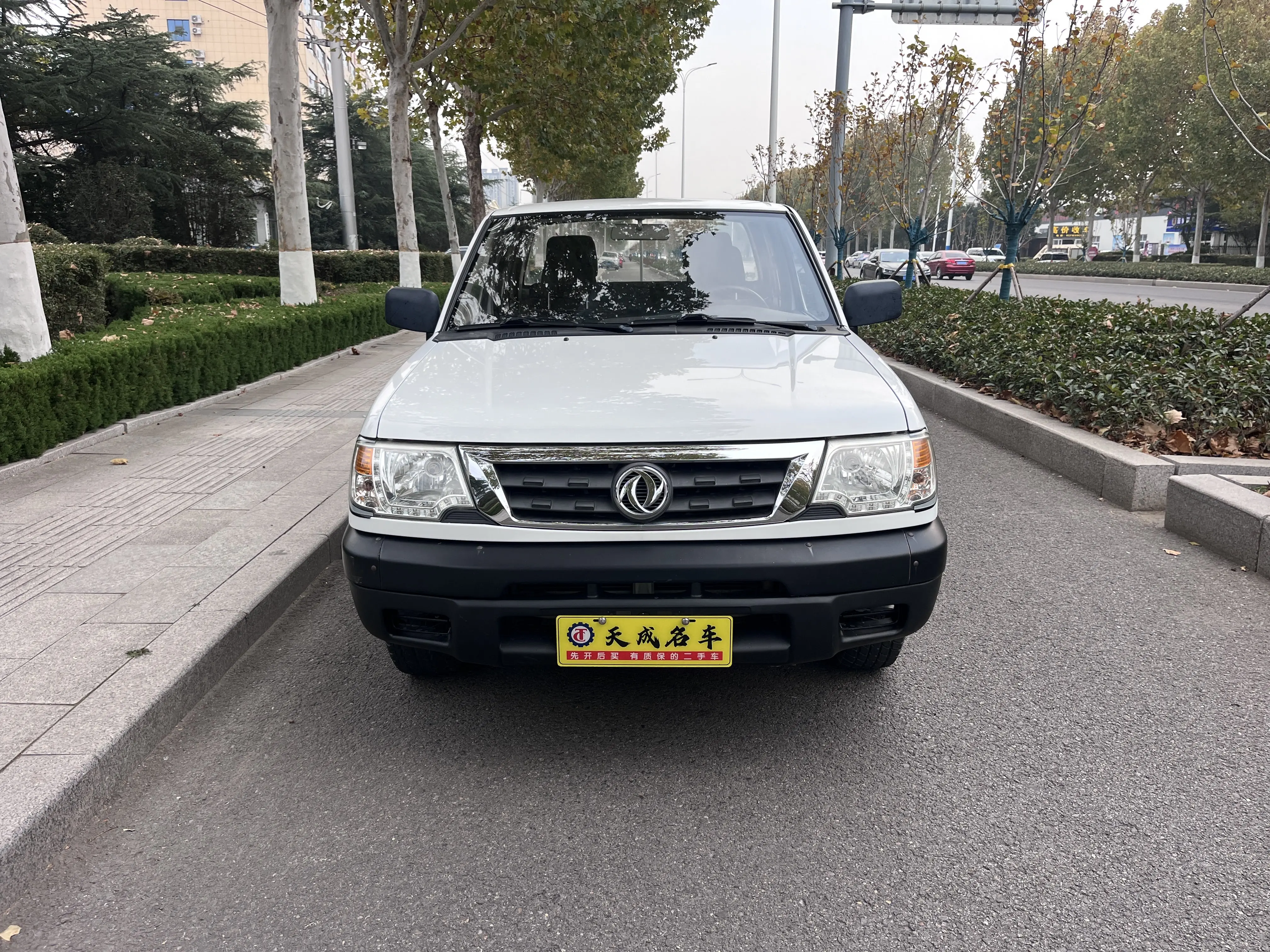 Dongfeng Ruiqi  из Китая