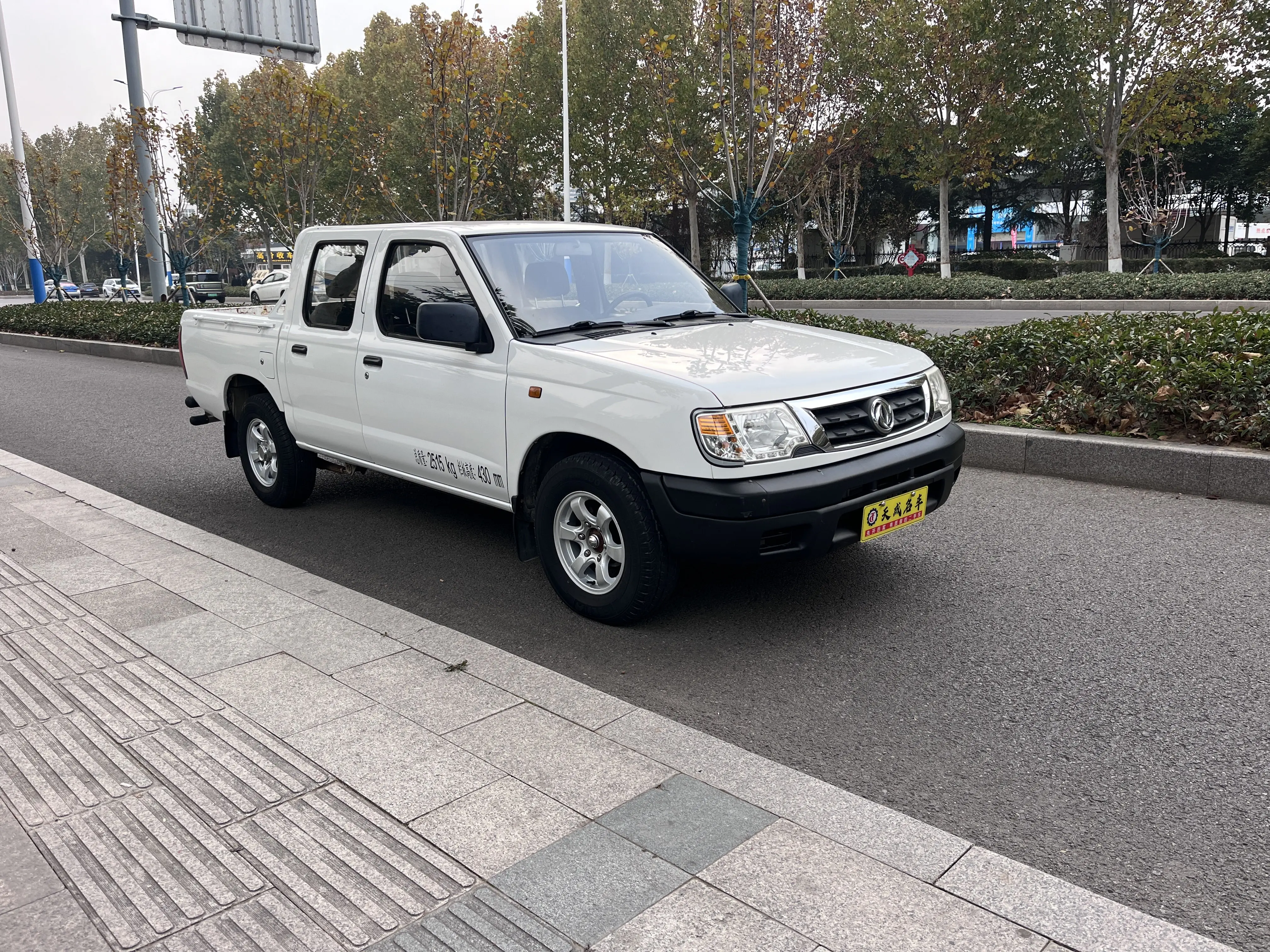 Dongfeng Ruiqi  из Китая