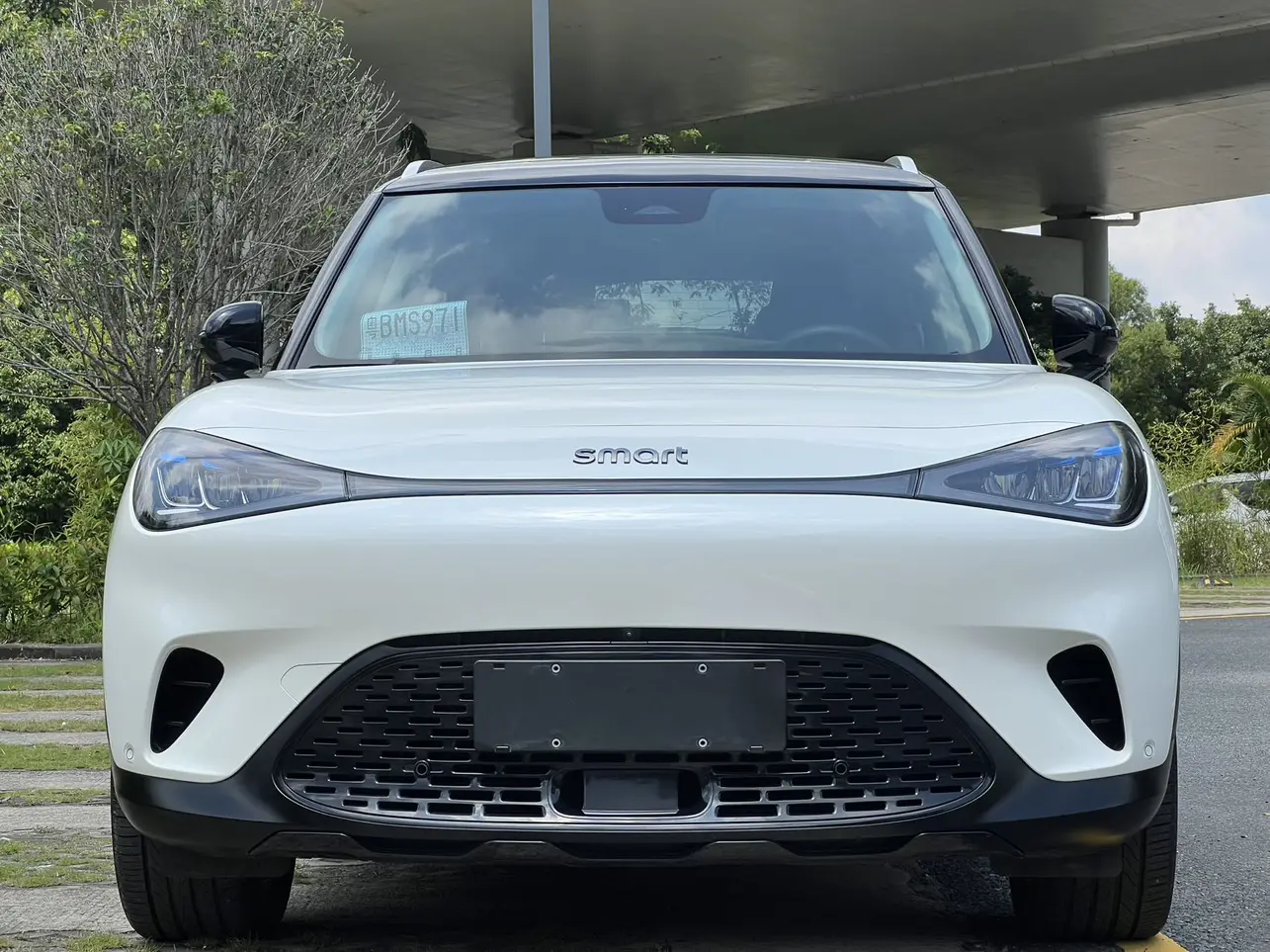 Smart elf #1  из Китая