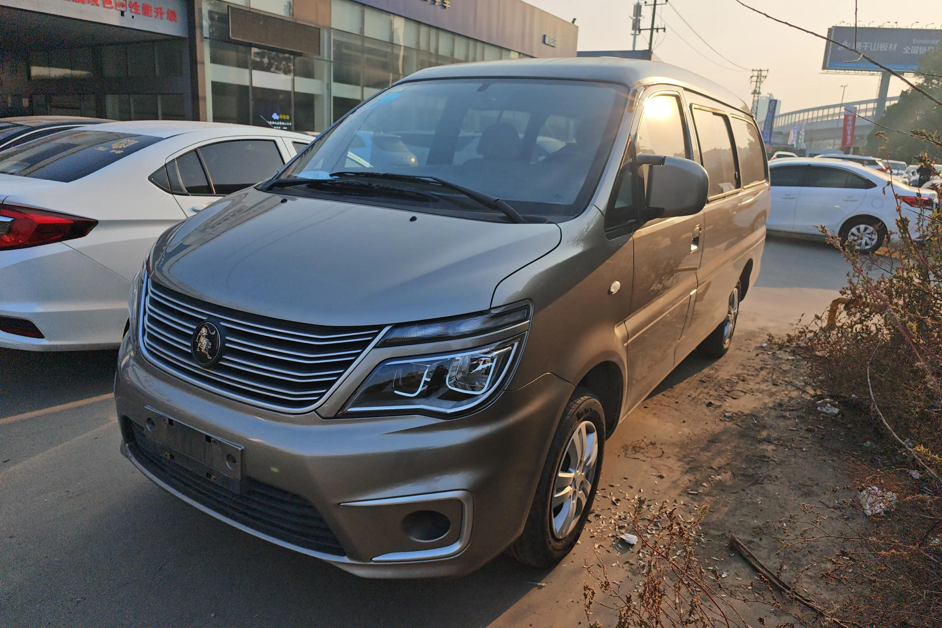 Forthing Lingzhi  из Китая