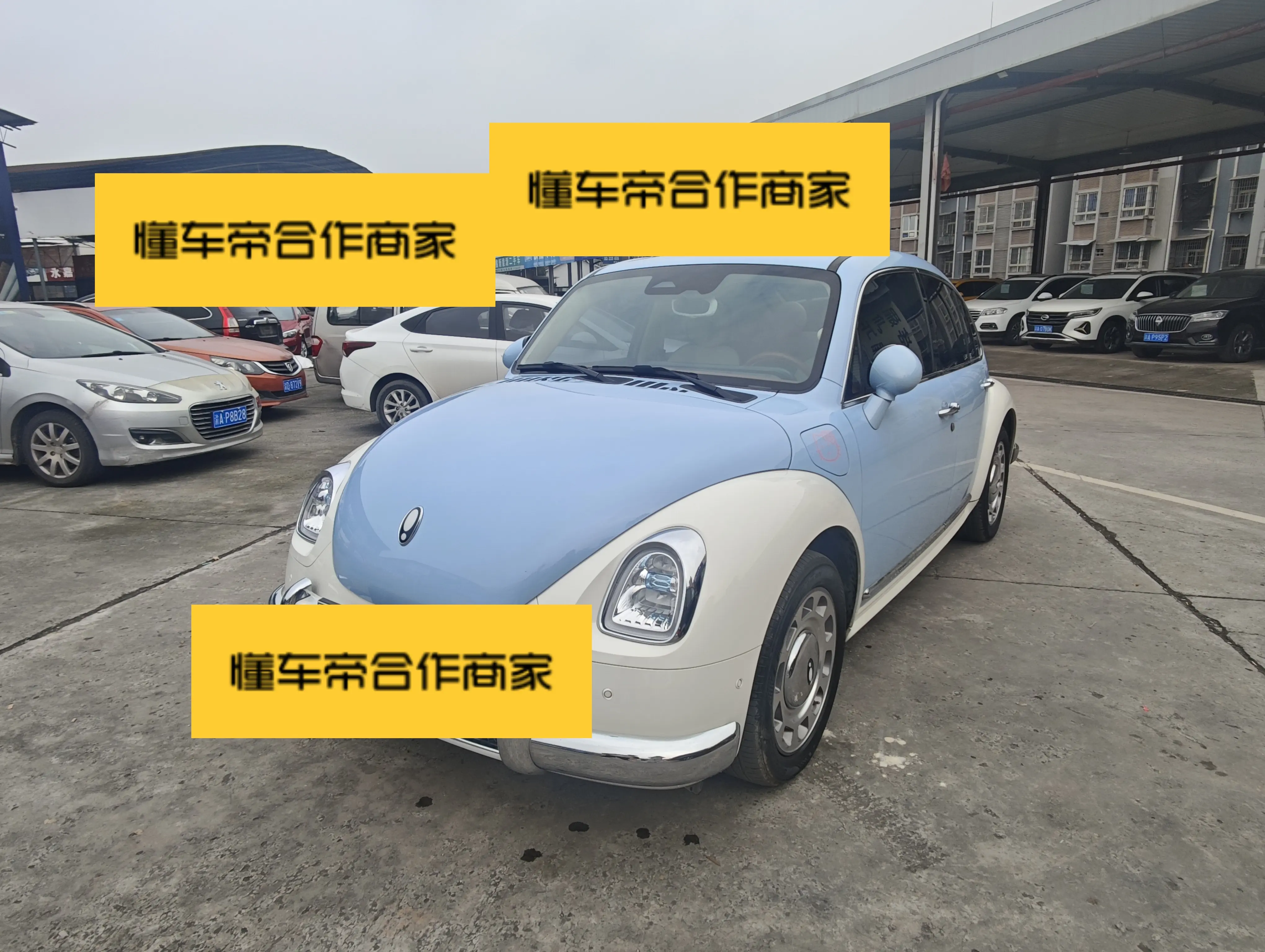 ORA Euler ballet cat  из Китая