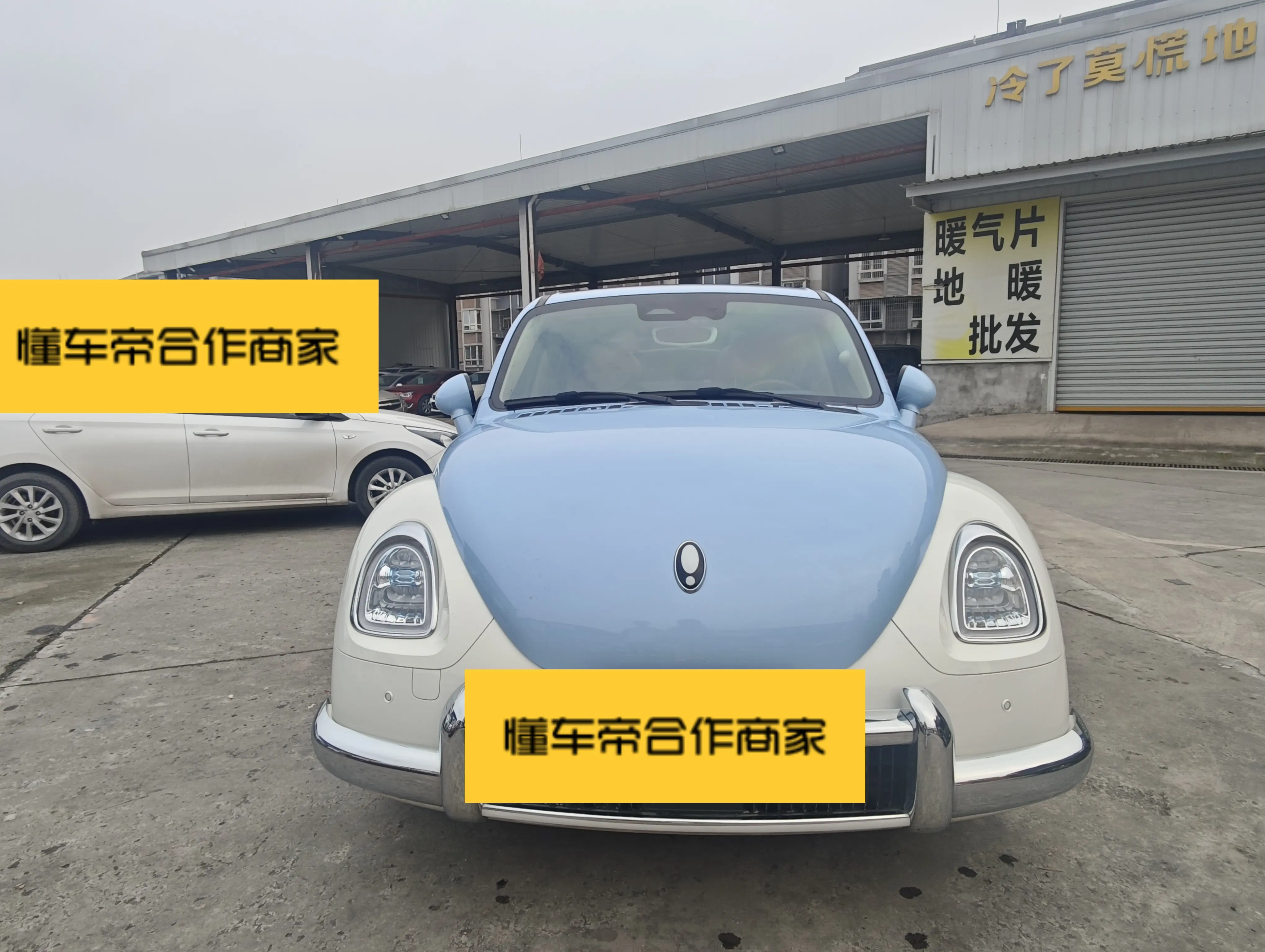 ORA Euler ballet cat  из Китая