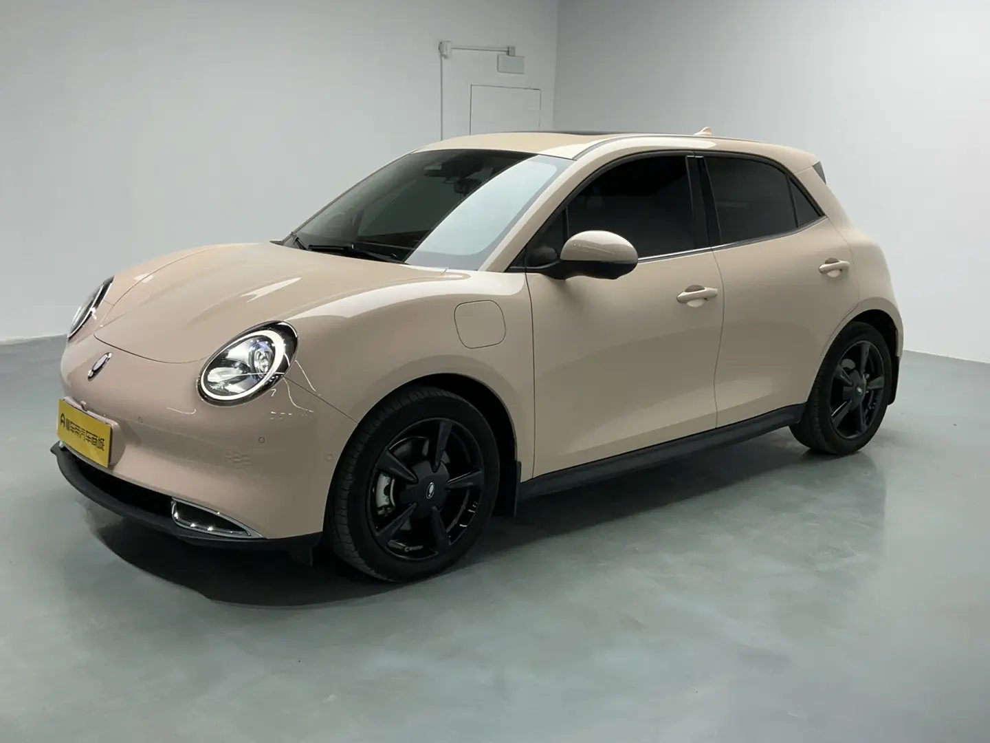 ORA Euler good cat  из Китая