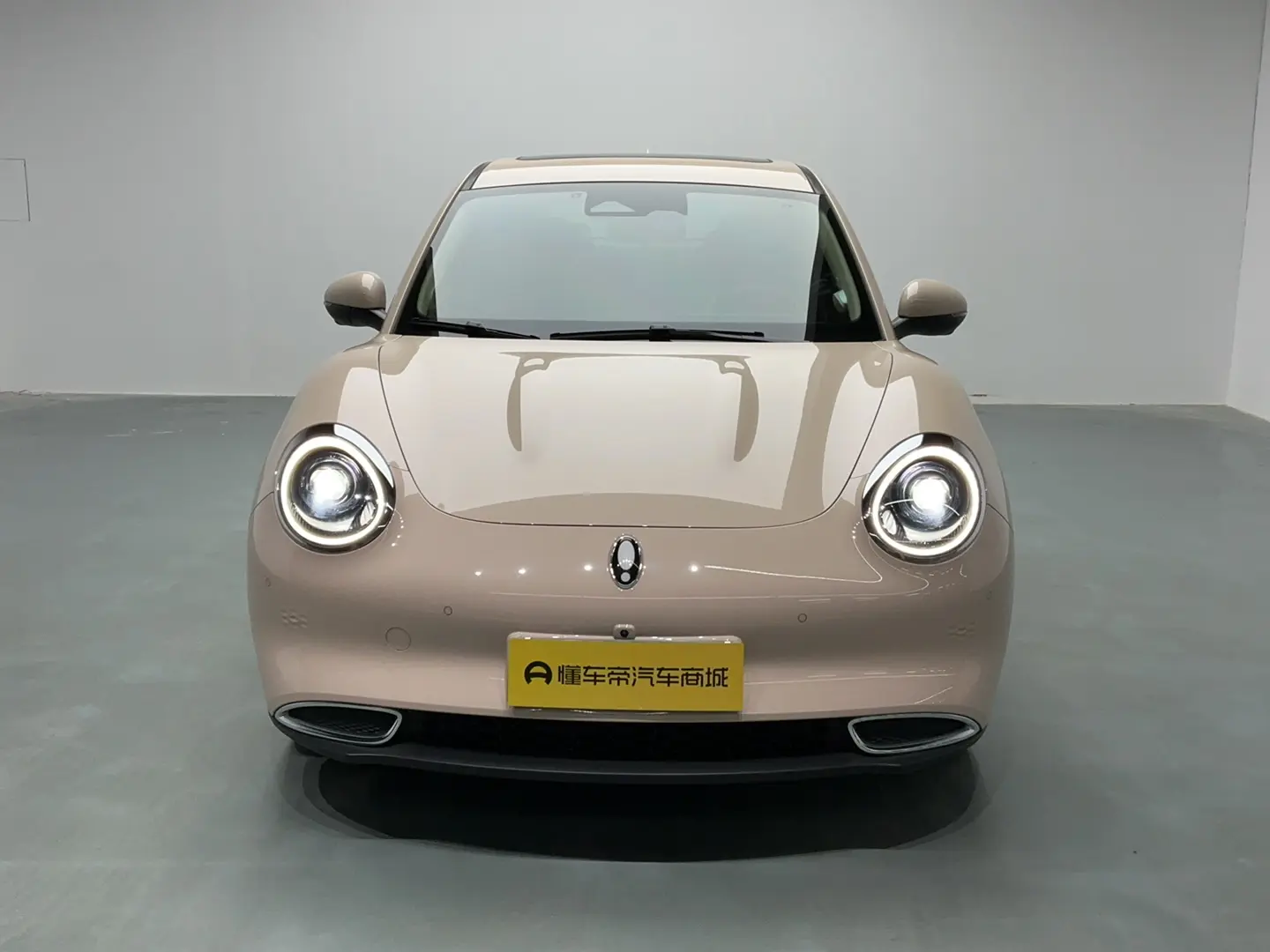 ORA Euler good cat  из Китая