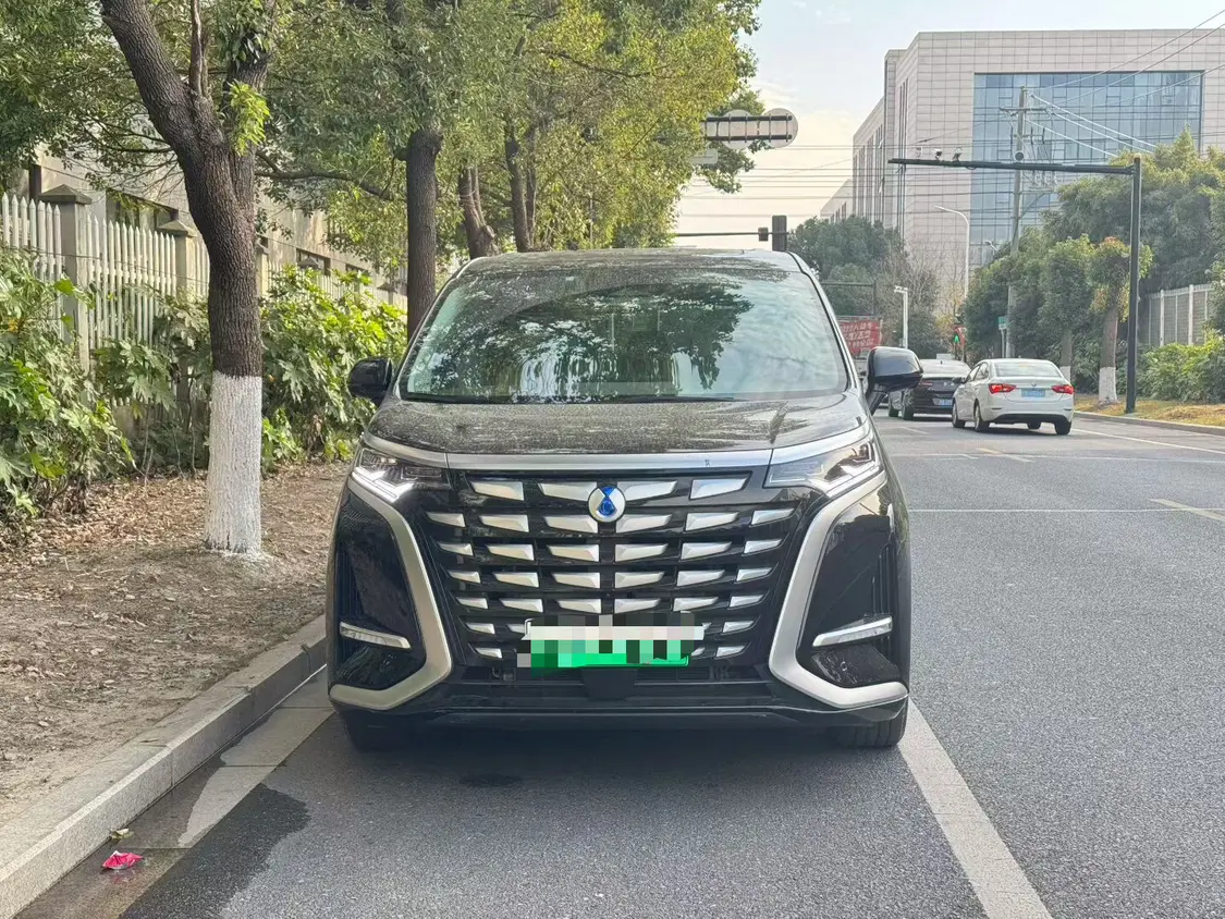 Denza D9 DM  из Китая