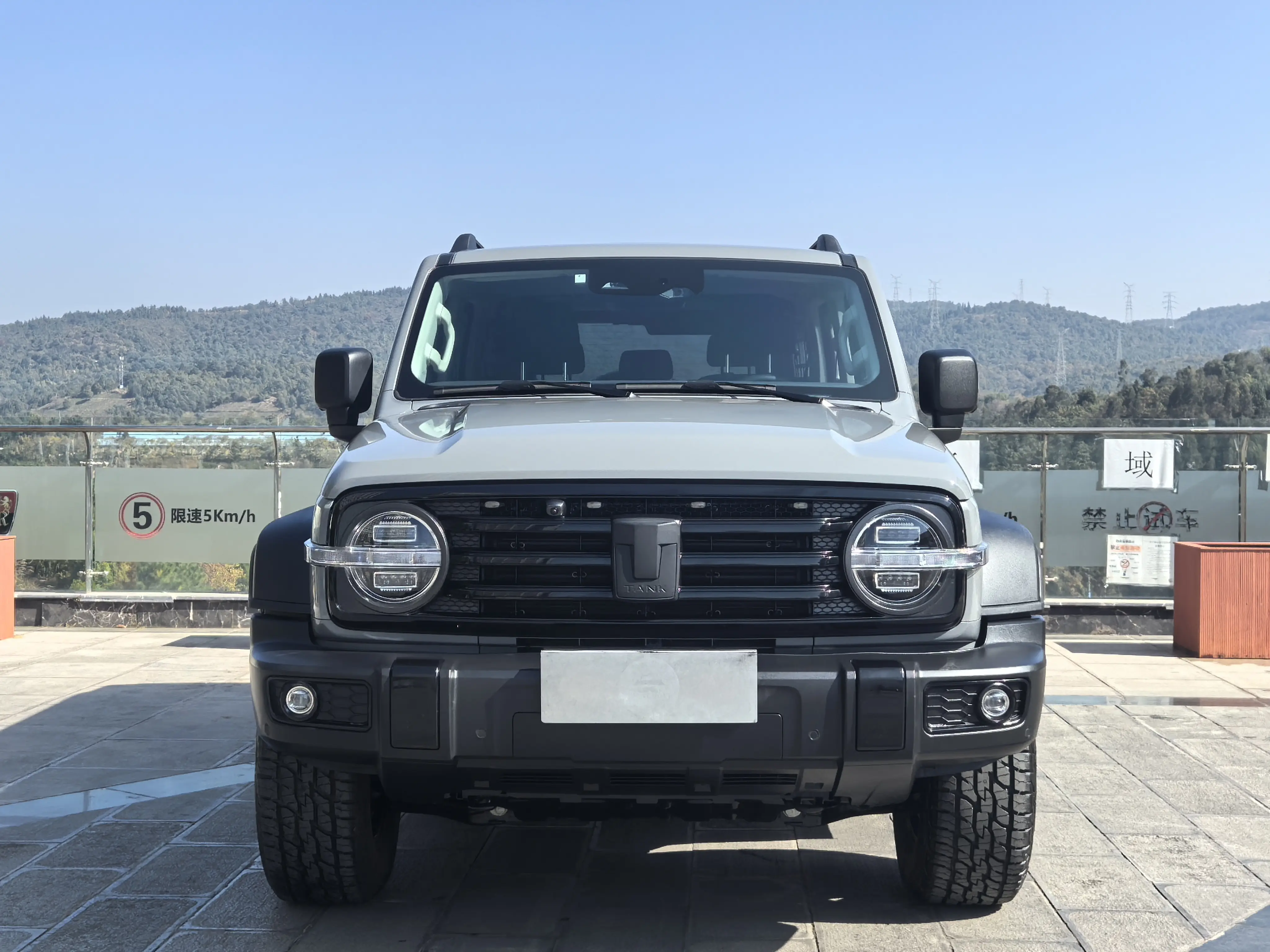 Tank 300  из Китая