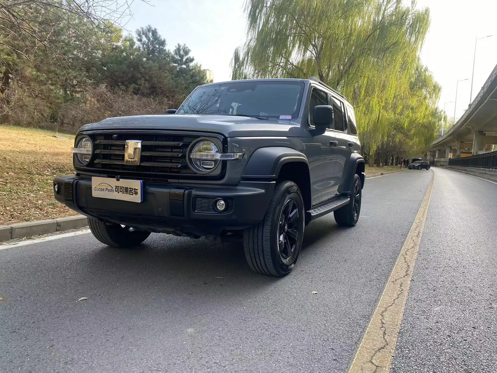 Tank 300  из Китая