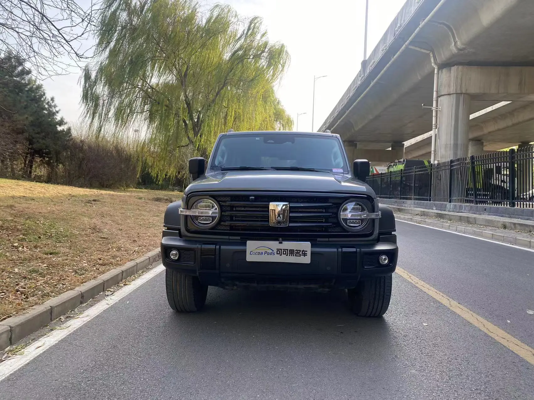 Tank 300  из Китая