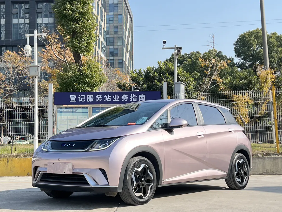 BYD Dolphin  из Китая