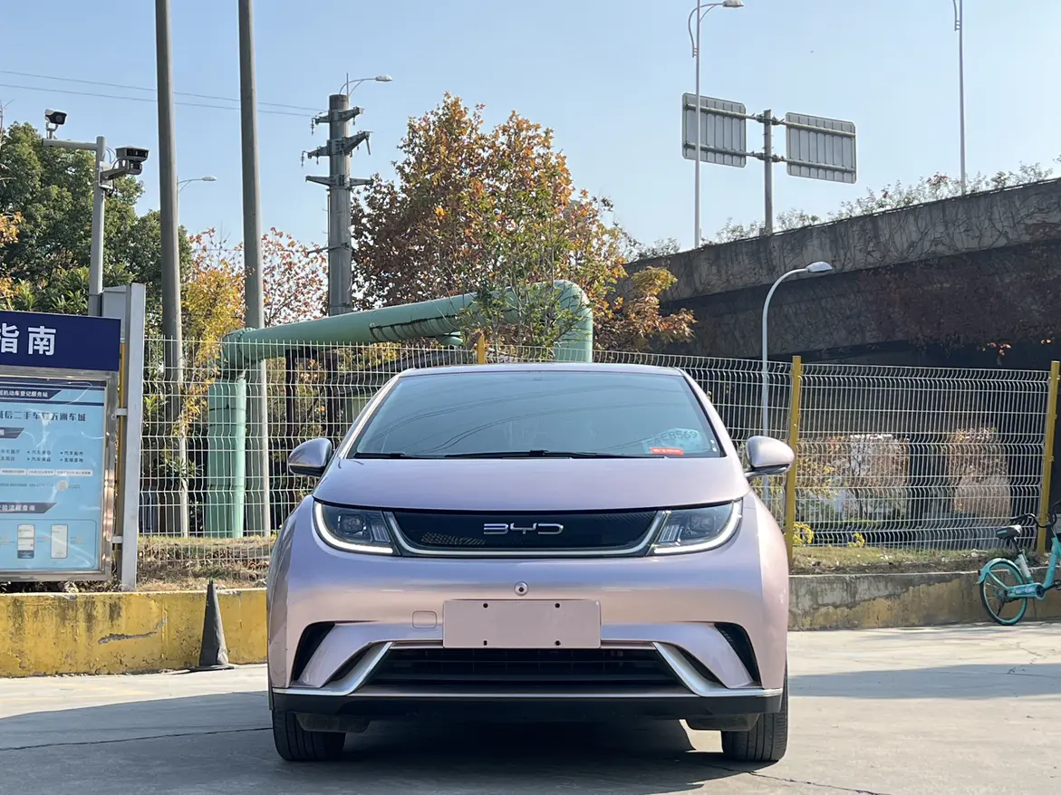 BYD Dolphin  из Китая