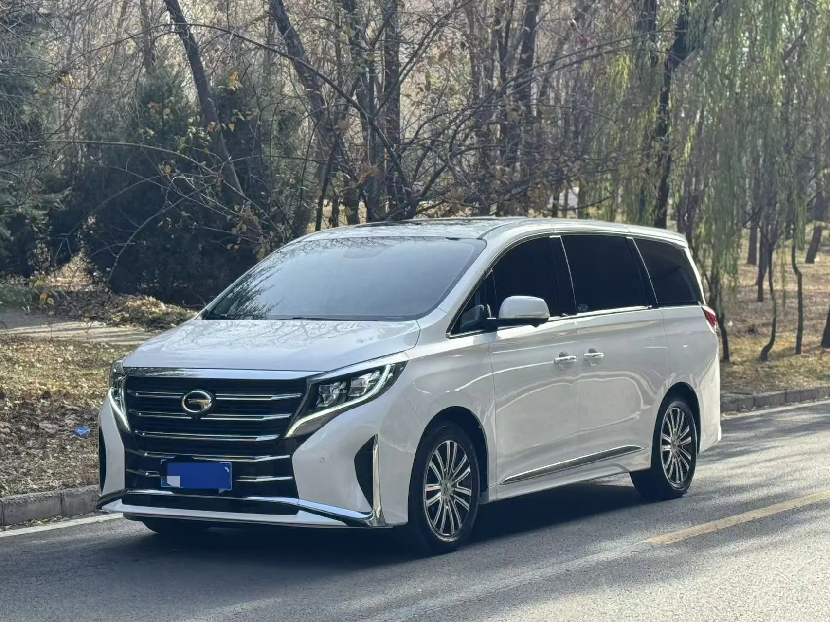 GAC Trumpchi M8  из Китая