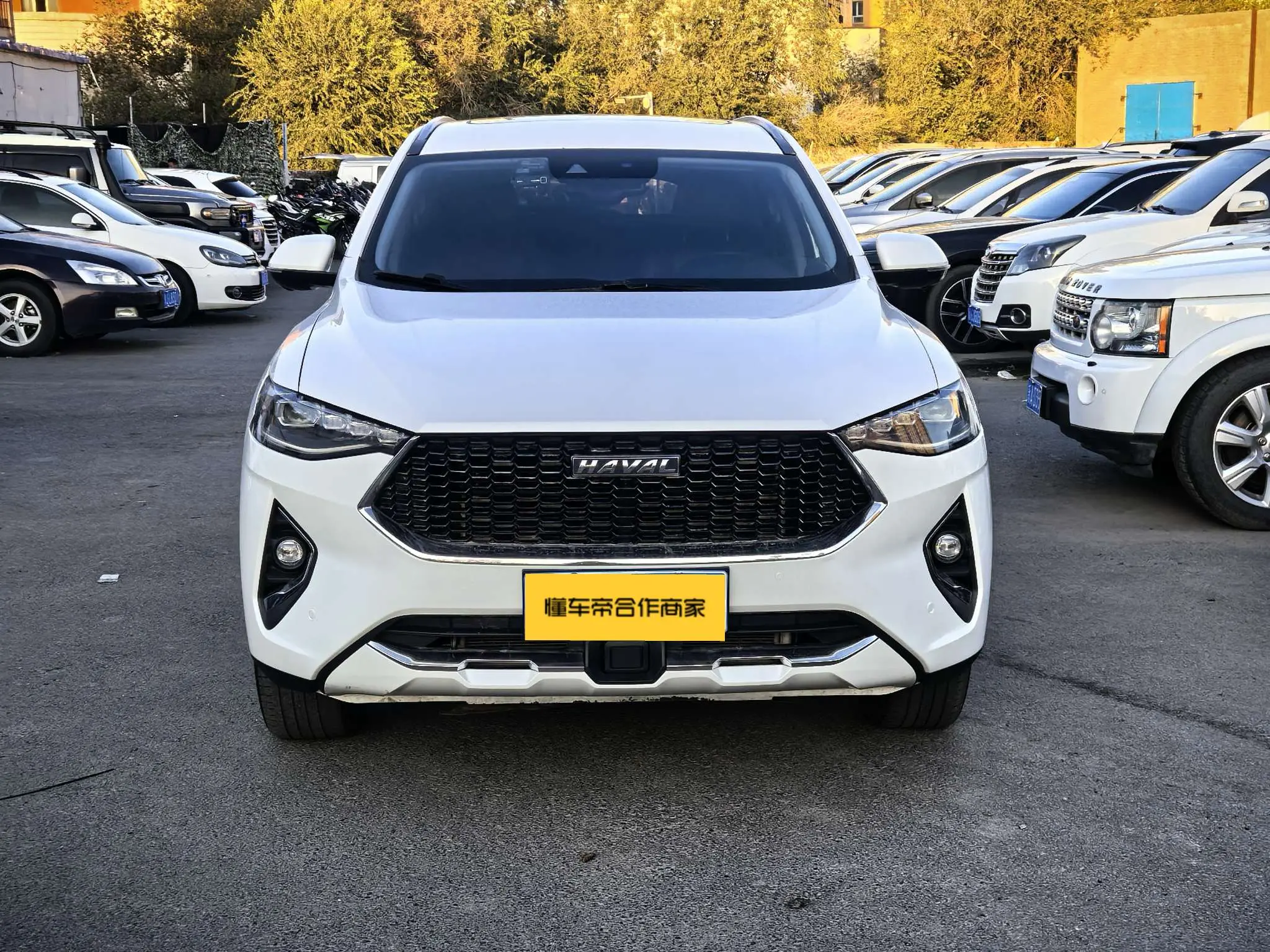 Haval F7  из Китая