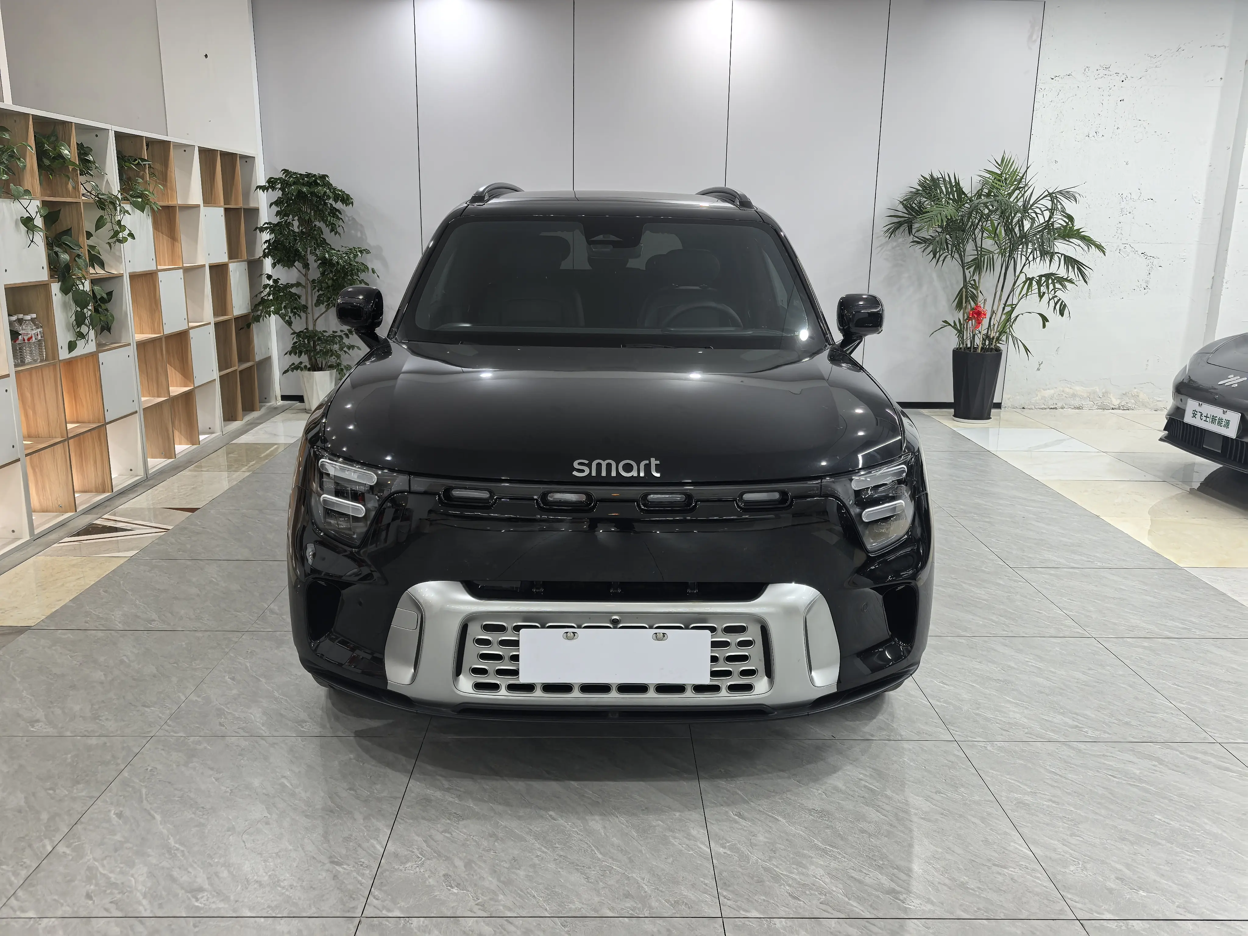 Smart Elf #5  из Китая