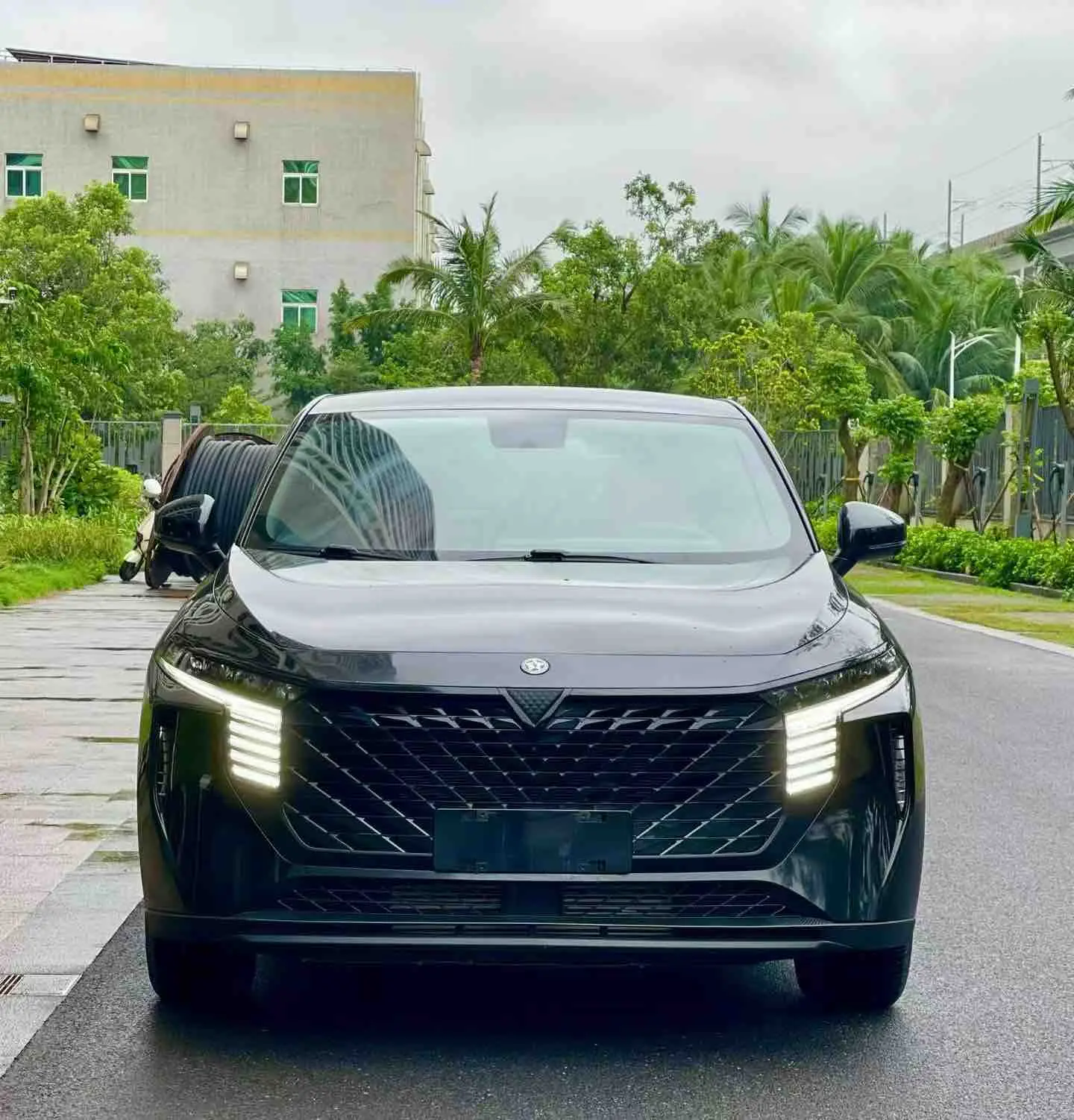 Kai Chen Venucia Big V  из Китая