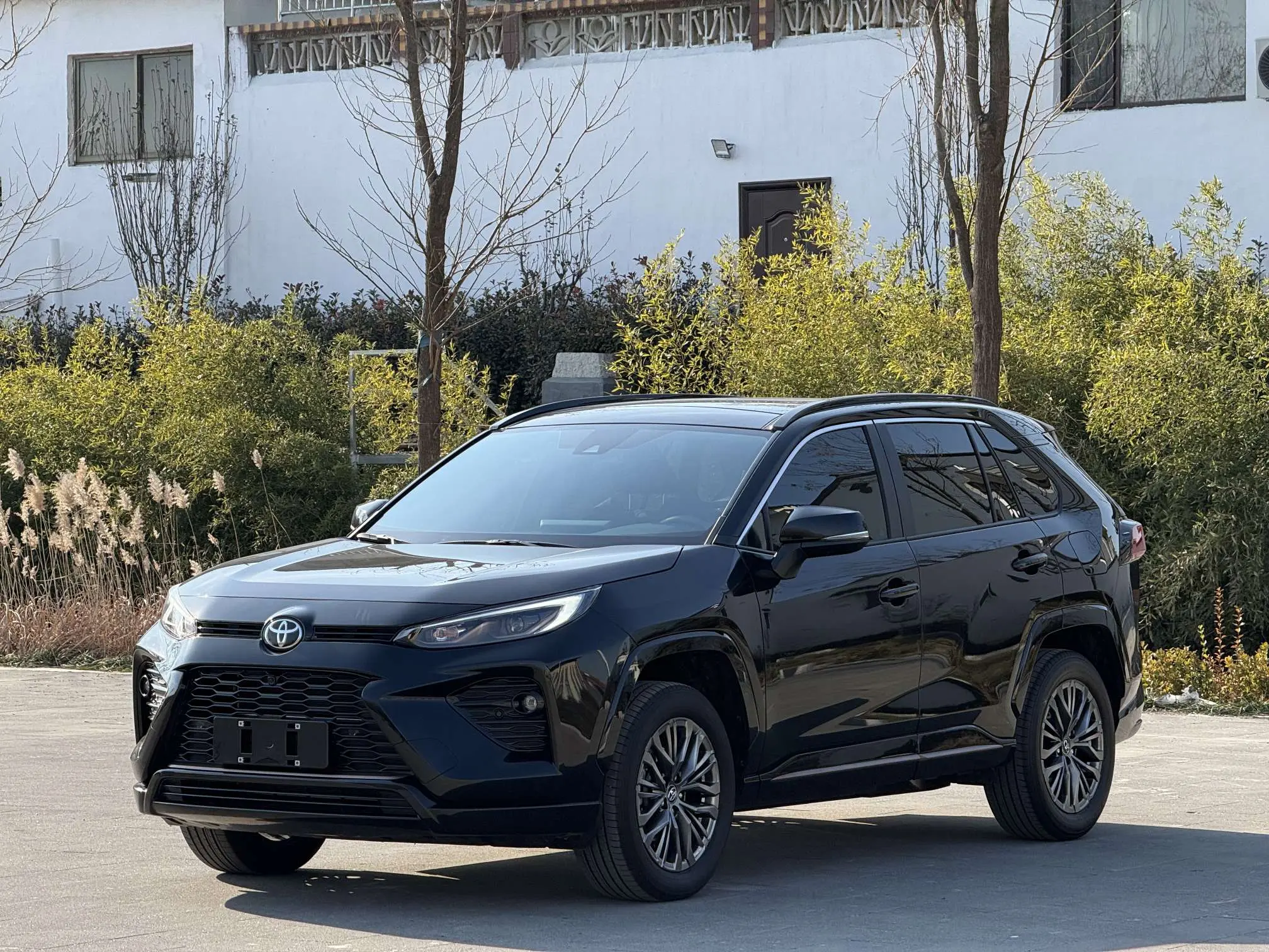 Toyota Willanda