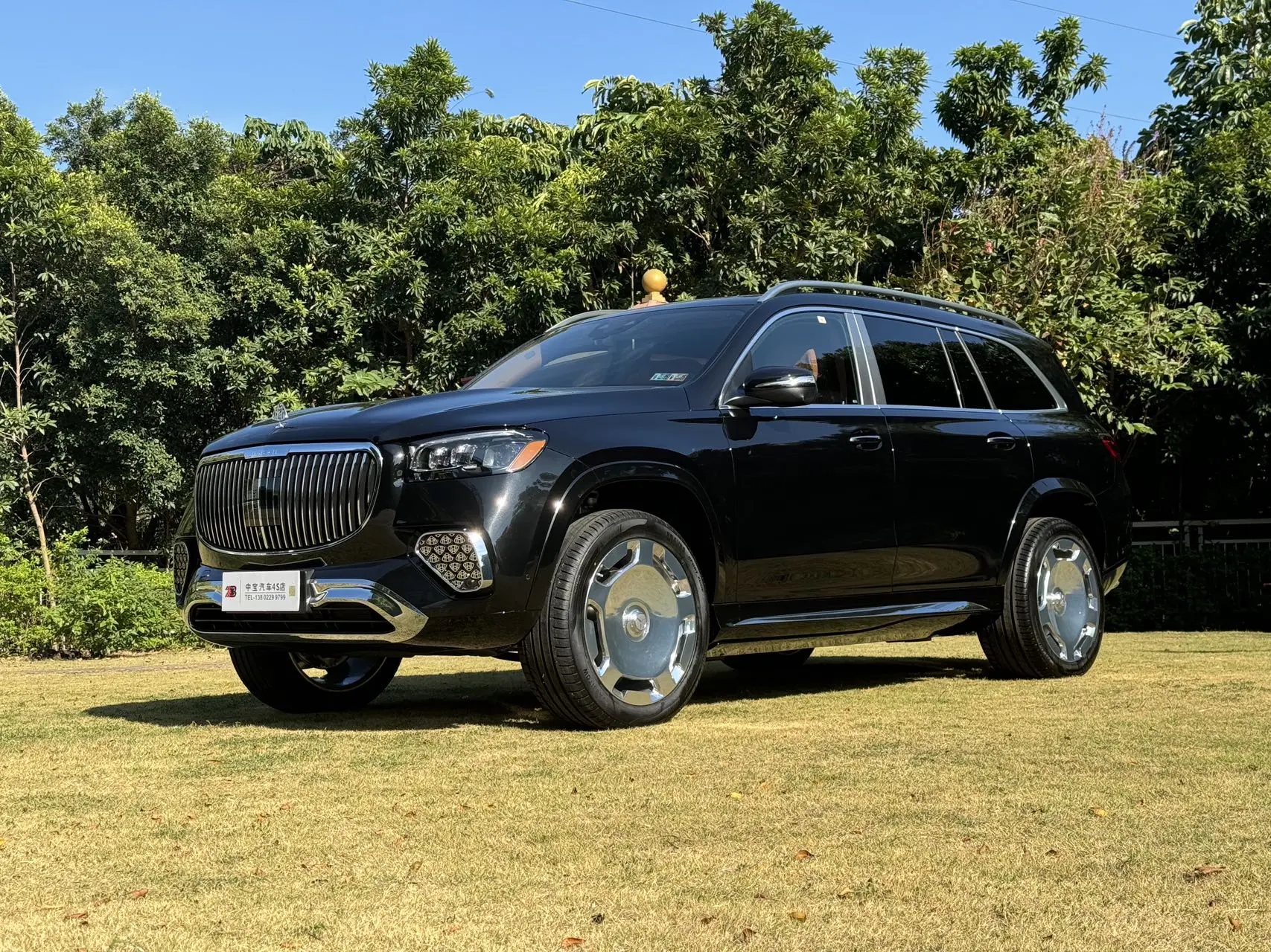 Mercedes-Benz Mercedes Benz GLS