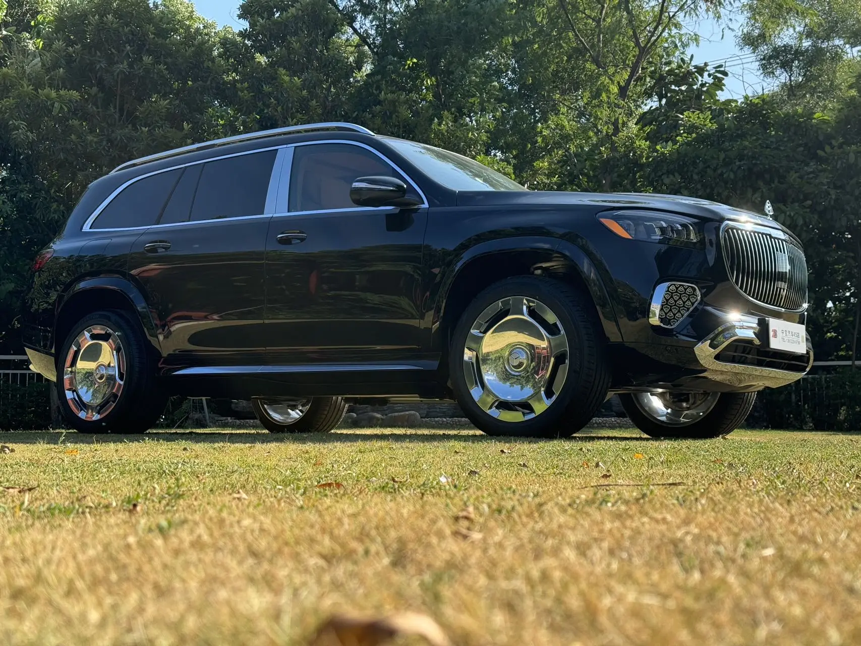 Mercedes-Benz Mercedes Benz GLS