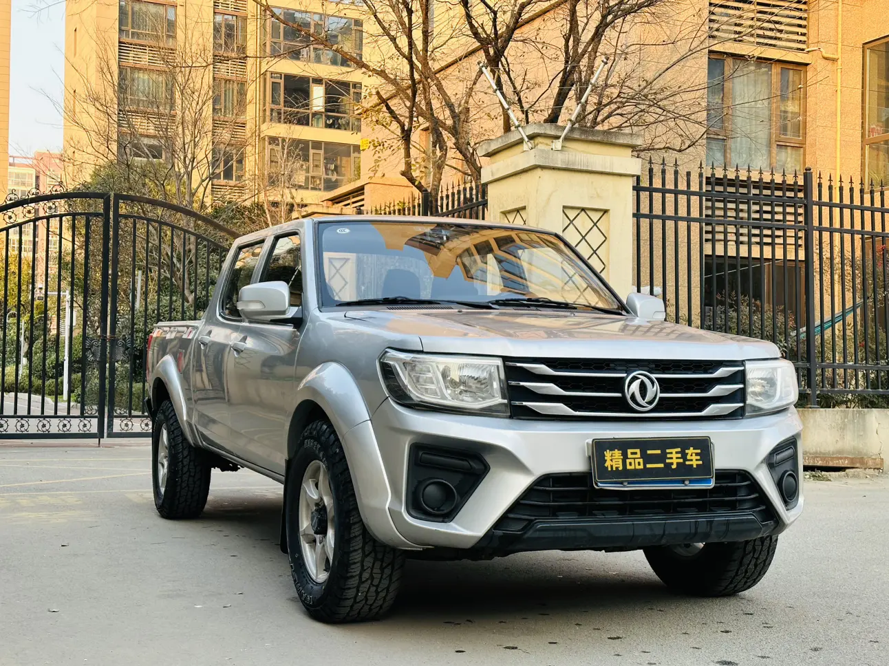 Dongfeng Ruiqi  из Китая