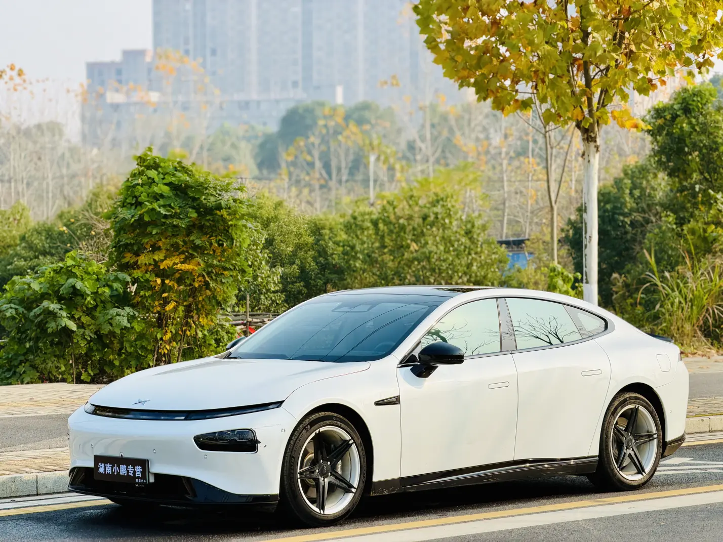 Xpeng P7  из Китая