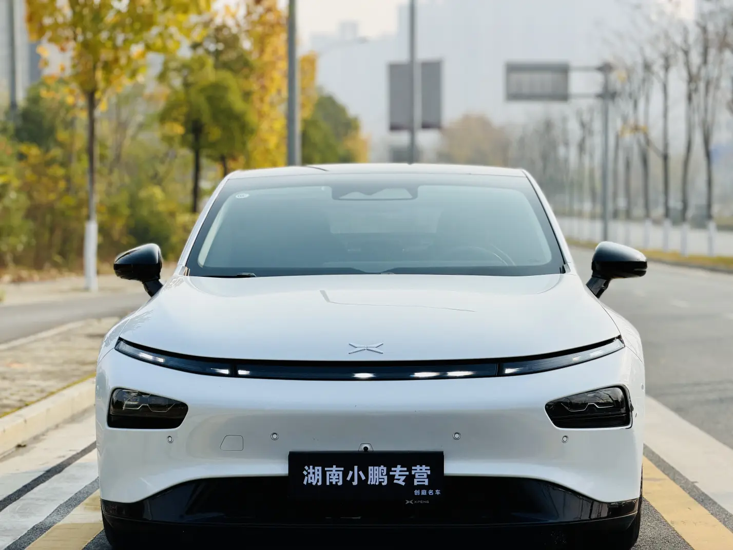 Xpeng P7  из Китая