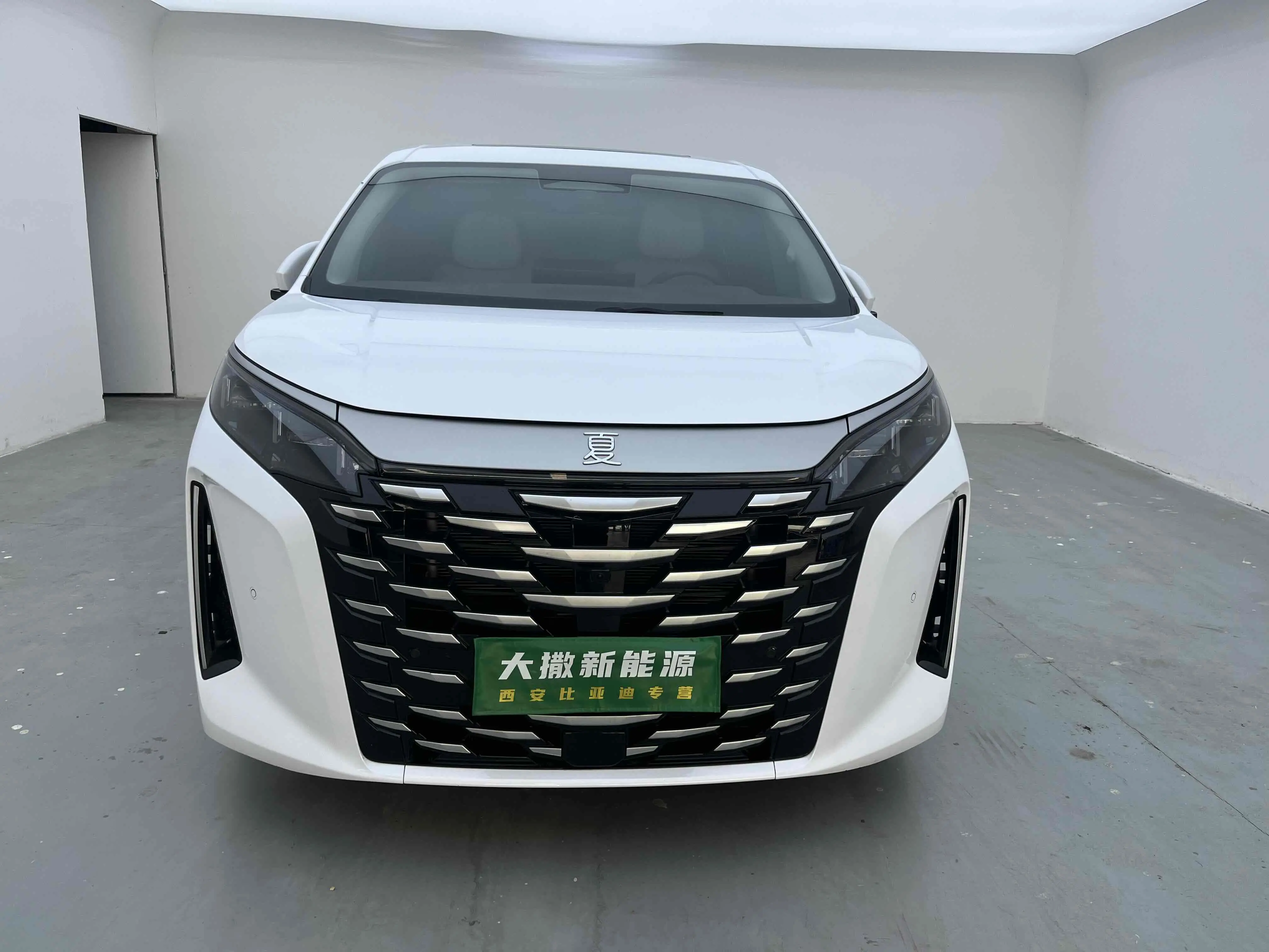 BYD Summer  из Китая