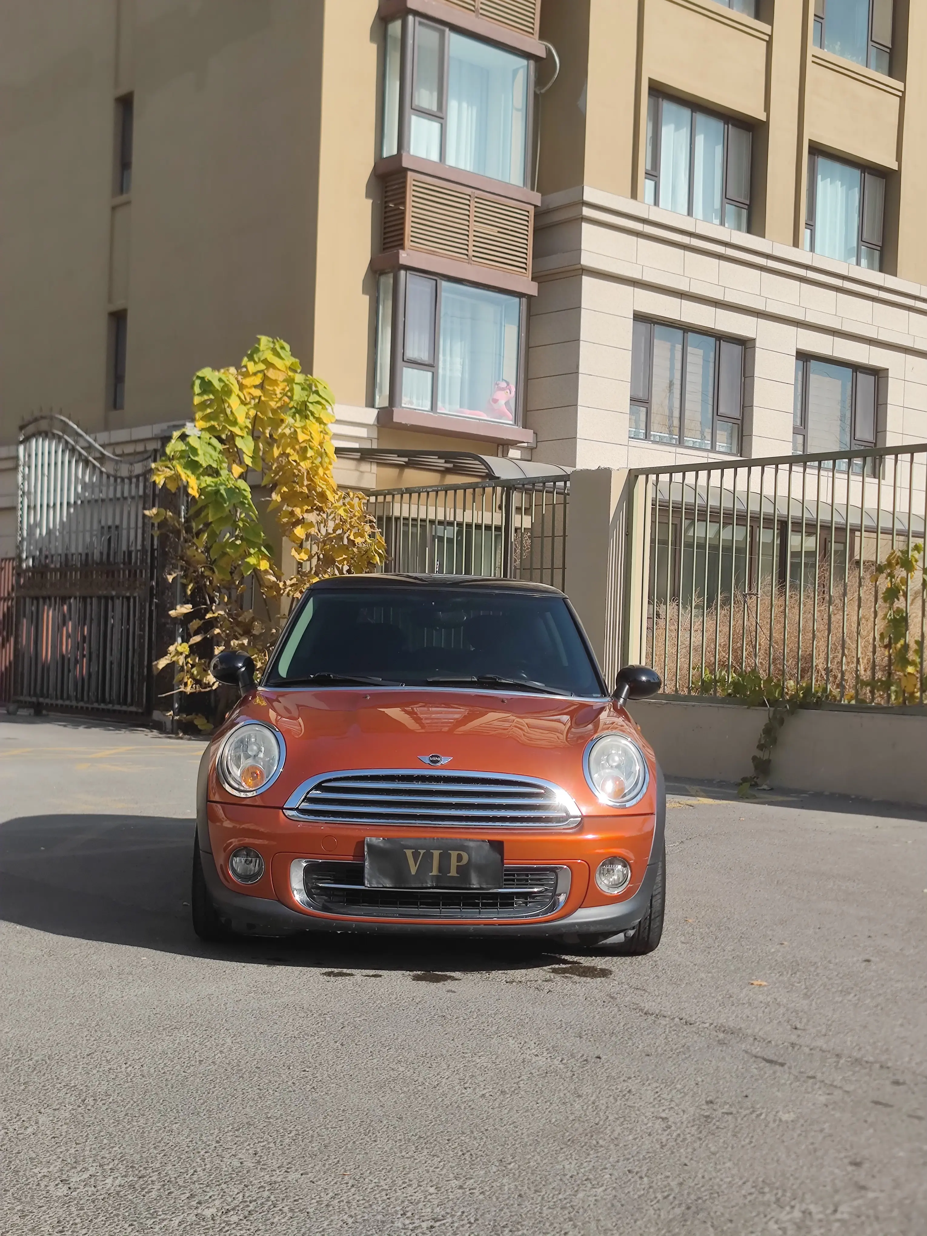 MINI MINI  из Китая