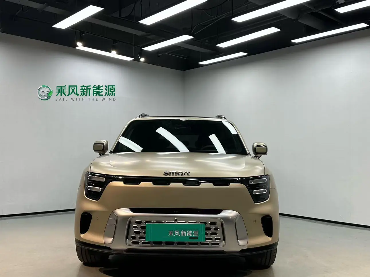 Smart Elf #5  из Китая