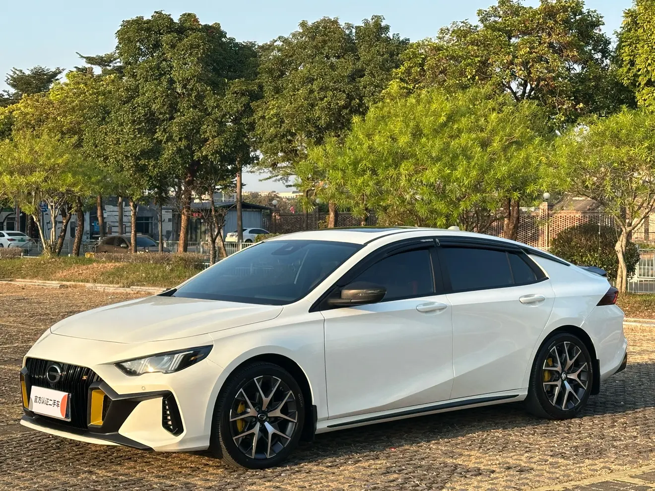 GAC Shadow Leopard  из Китая