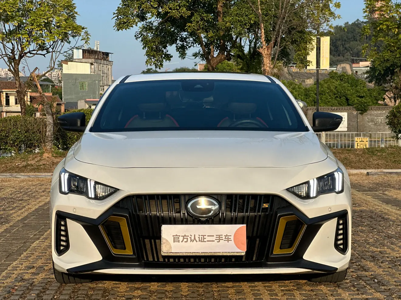 GAC Shadow Leopard  из Китая