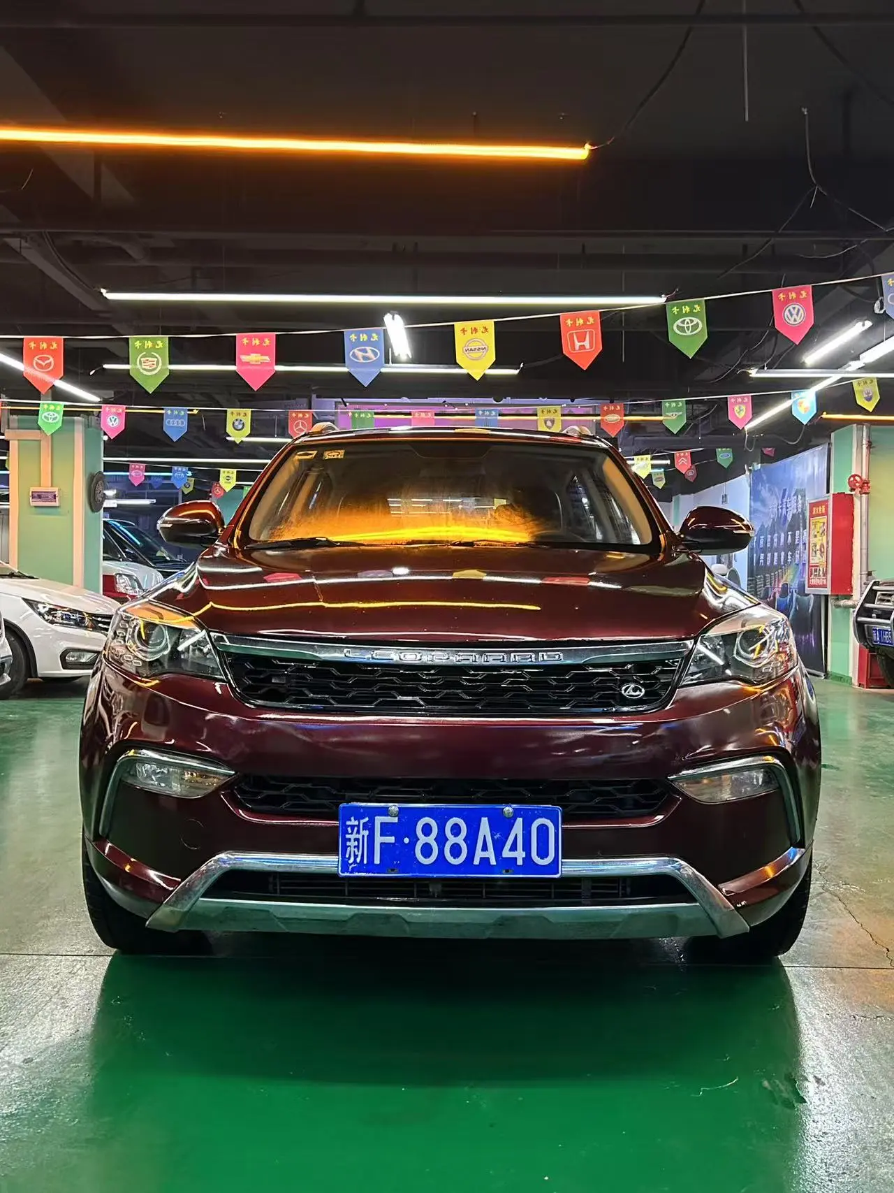 Cheetah cars Cheetah CS10  из Китая