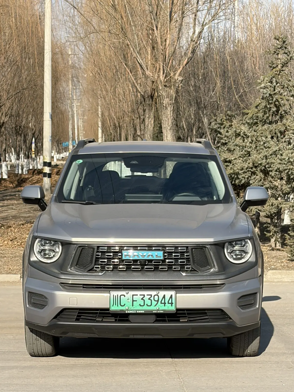 Haval Big Dog PLUS PHEV  из Китая