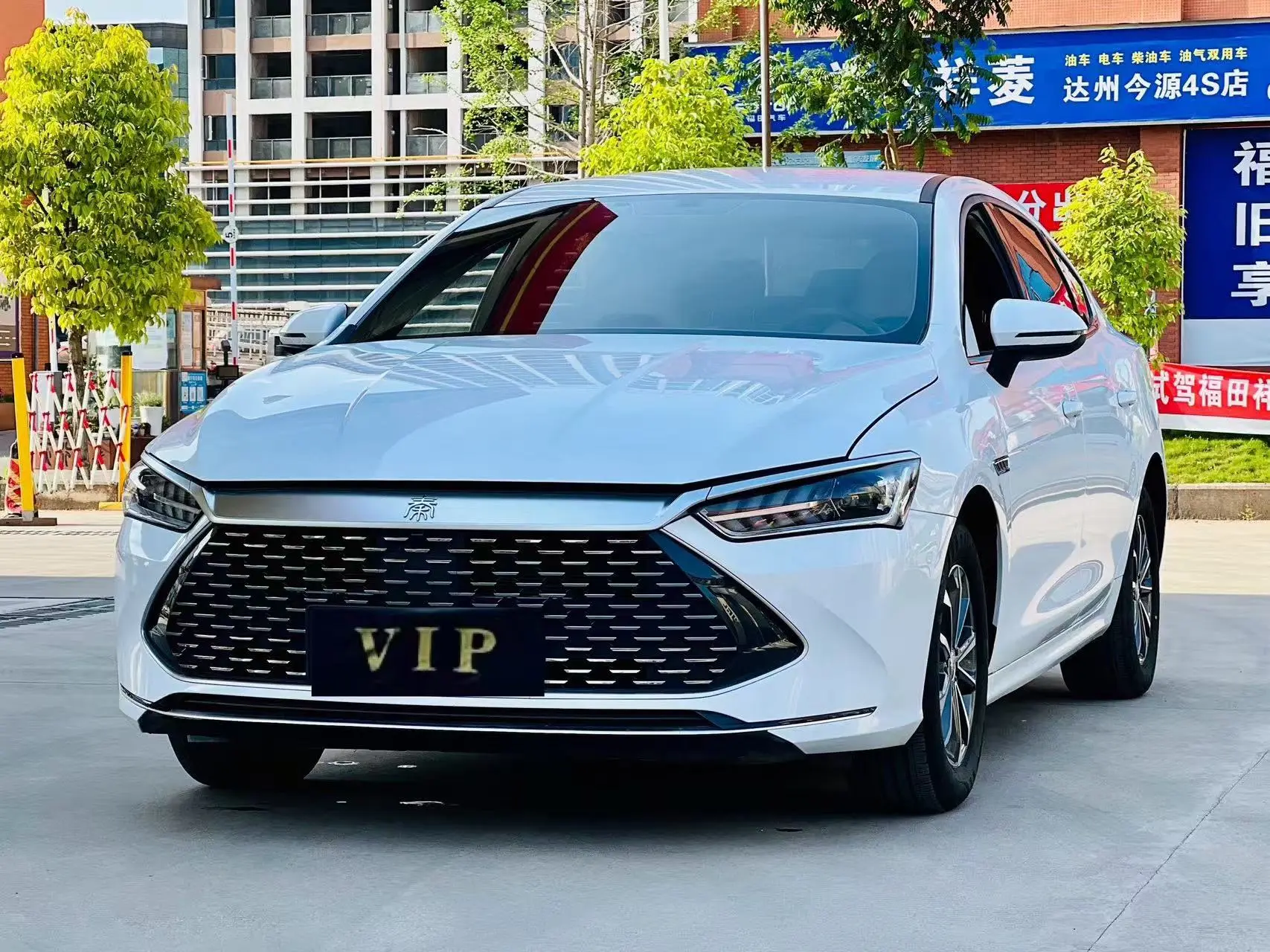 BYD Qin PLUS DM  из Китая