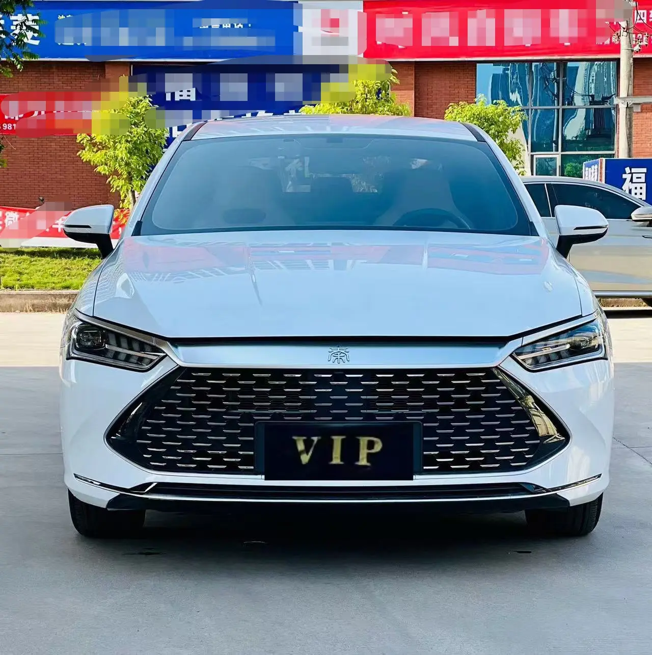 BYD Qin PLUS DM  из Китая