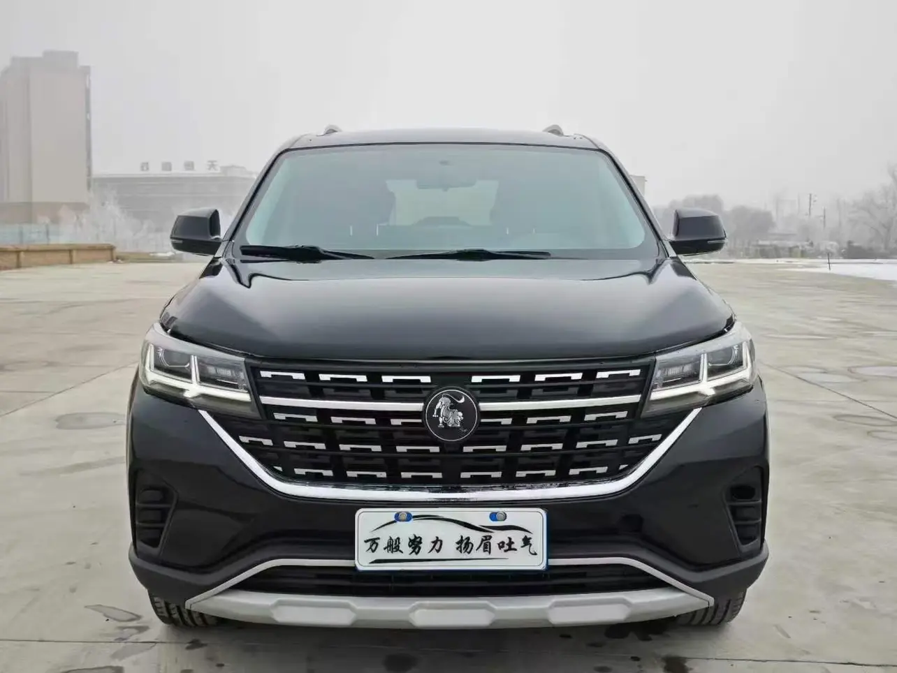 Forthing Fengxing T5  из Китая