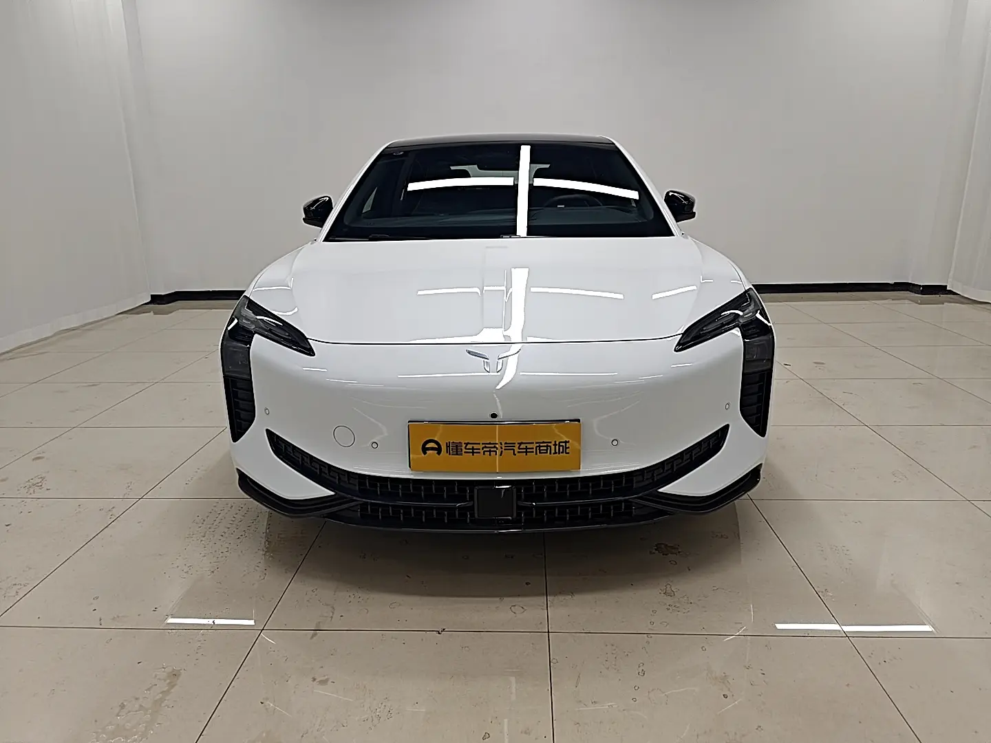 Hongqi EH7  из Китая