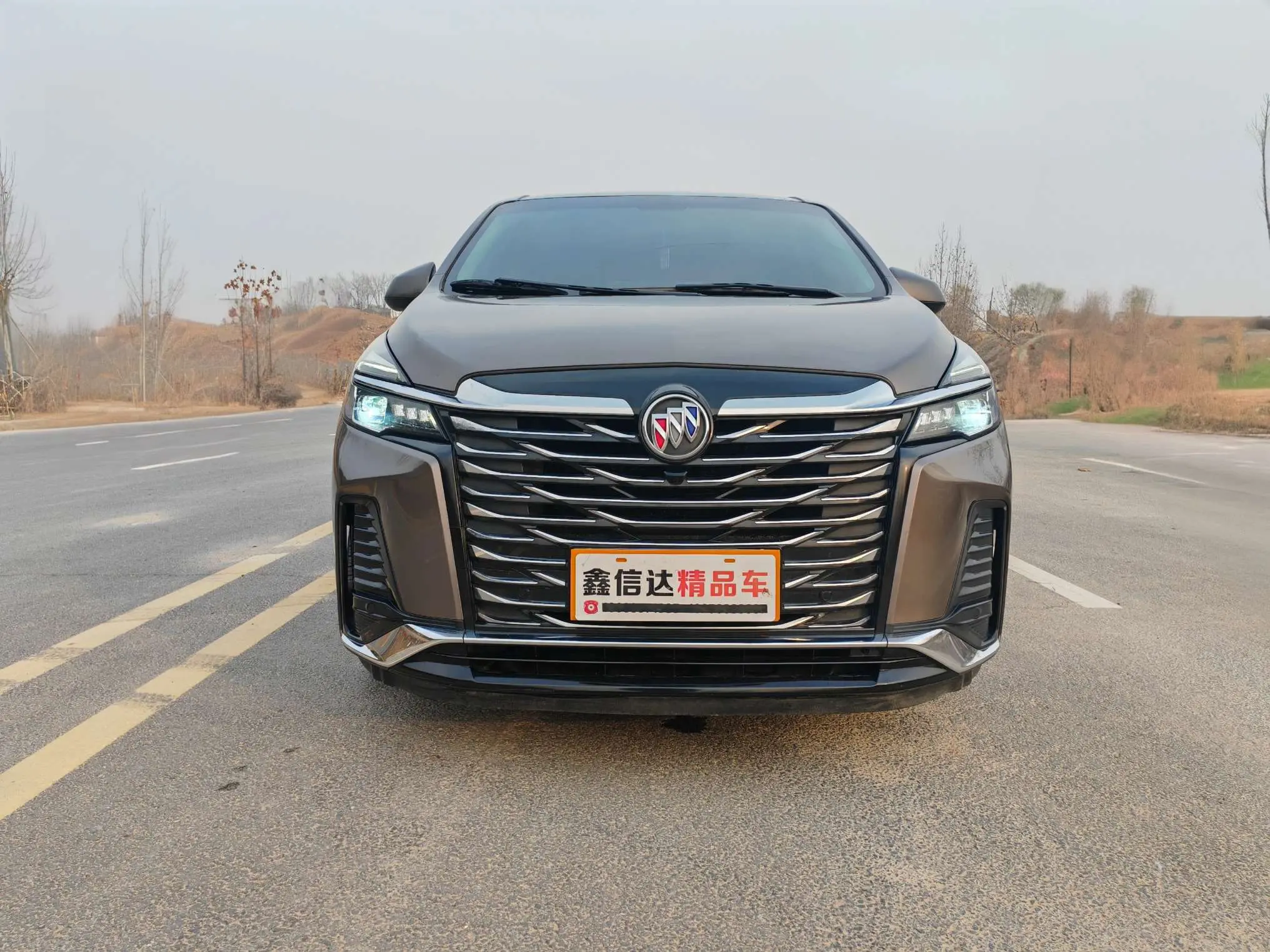 Buick GL8  из Китая