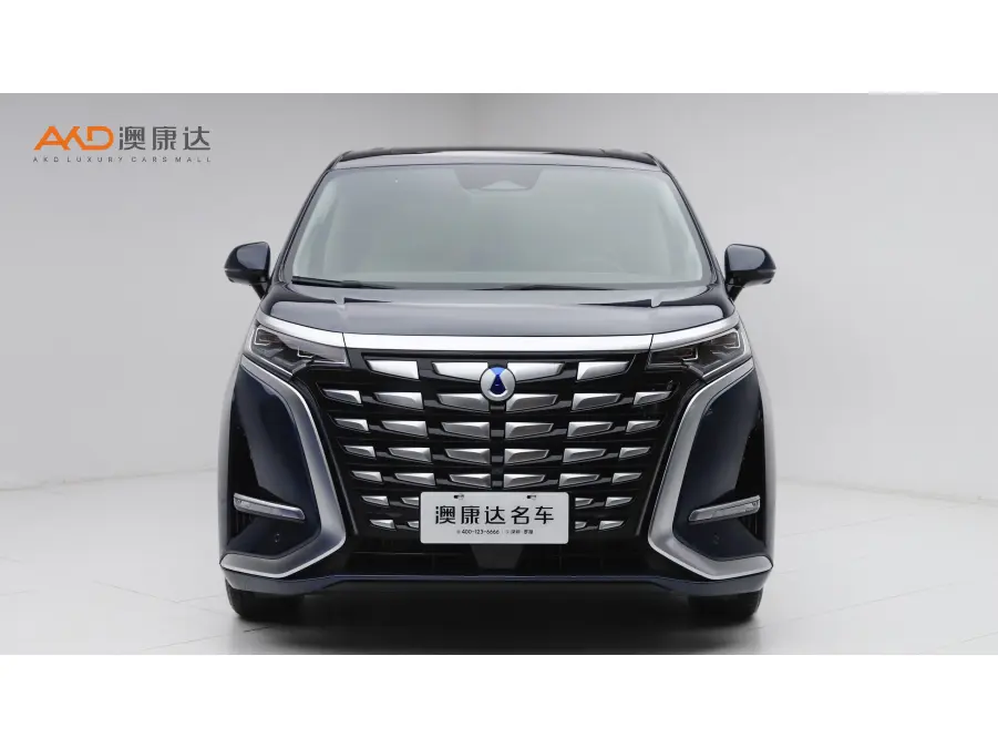 Denza D9 DM  из Китая