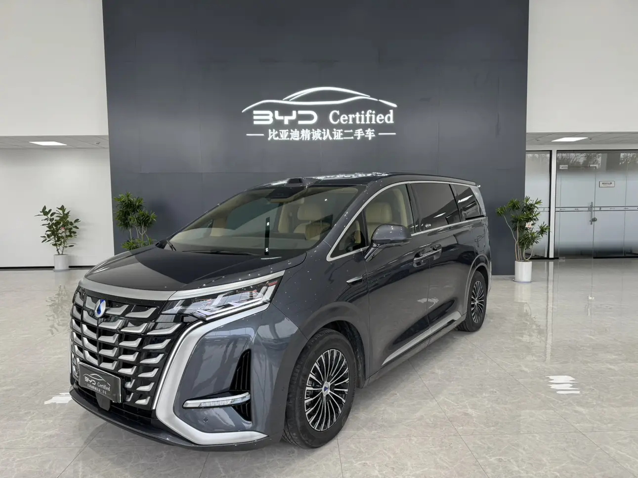 Denza D9 DM  из Китая