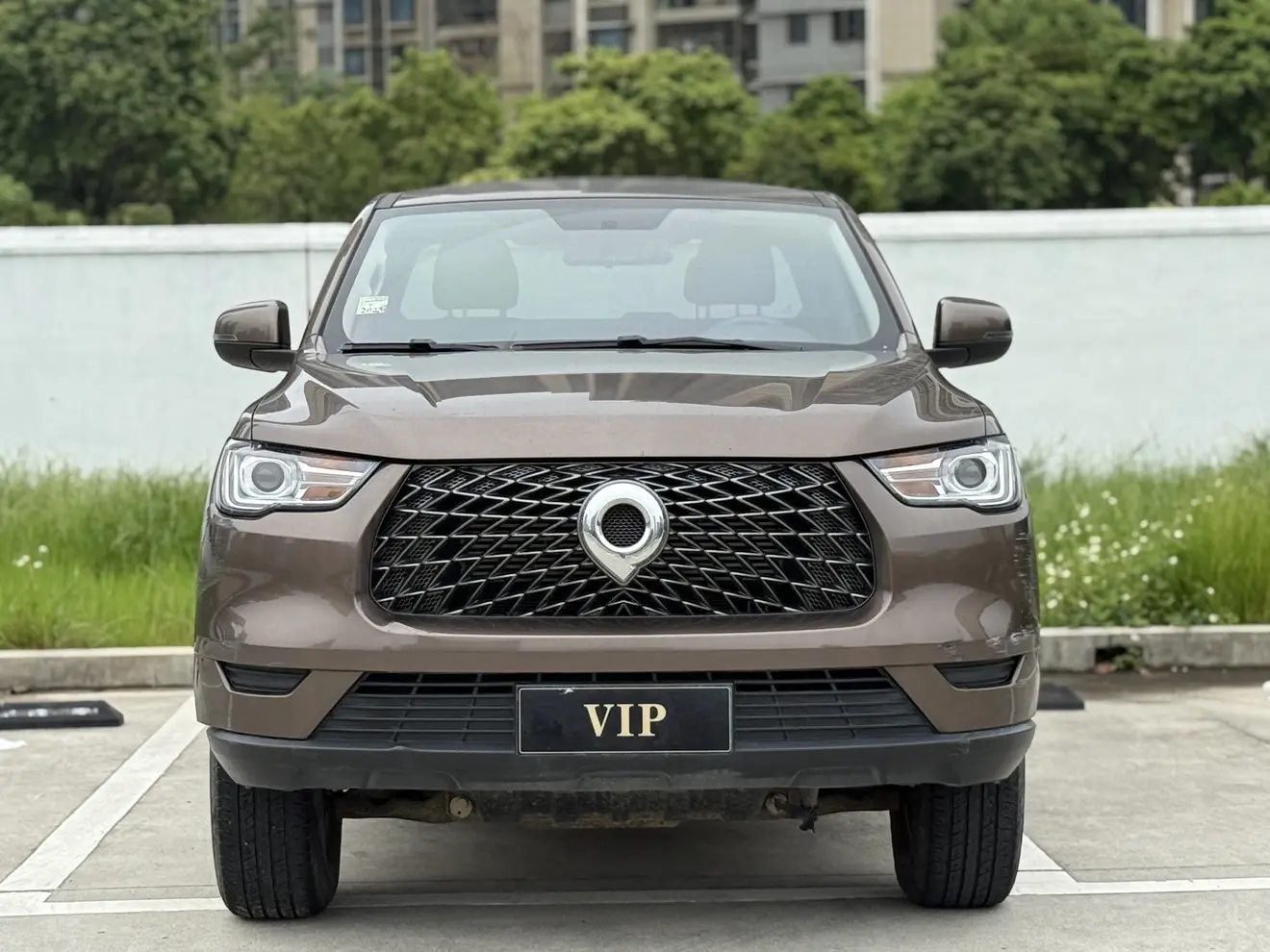 Great Wall Gun  из Китая