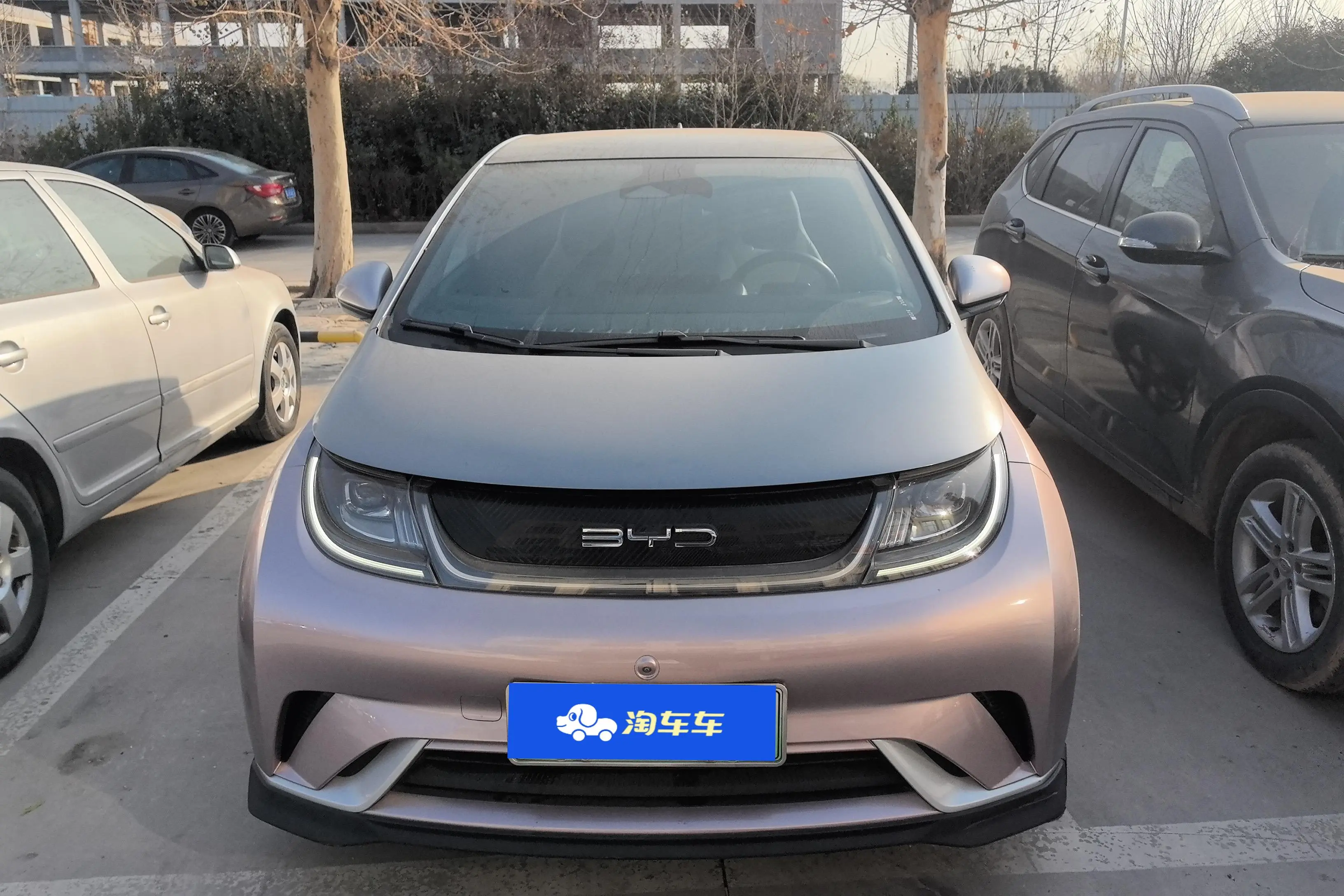 BYD Dolphin  из Китая